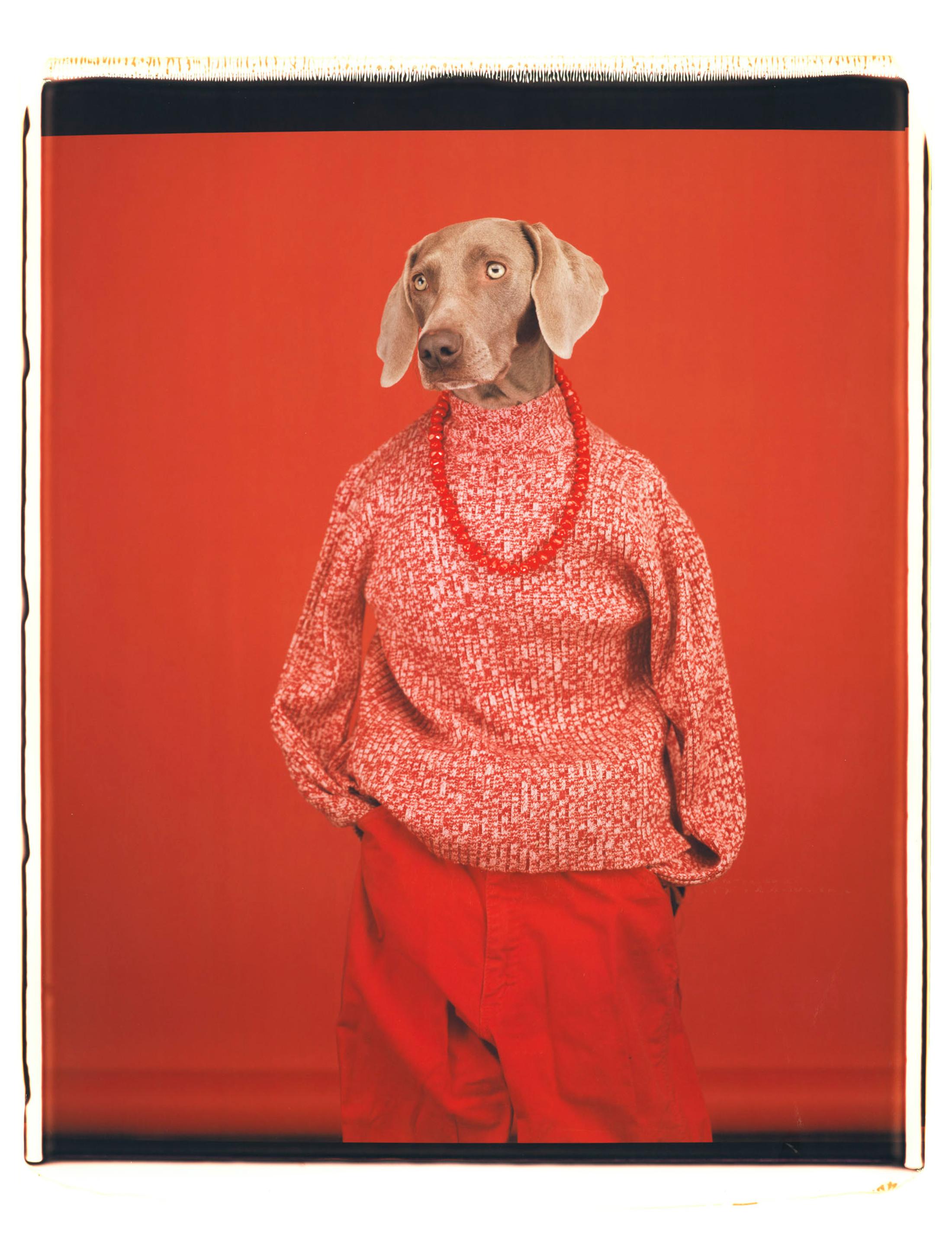 Exhibition View William Wegman Soloshow «Being Human; view on Casual, 2002» at MASI, Lugano, 2019 / © William Wegmann / Courtesy: the artist and MASI, Lugano