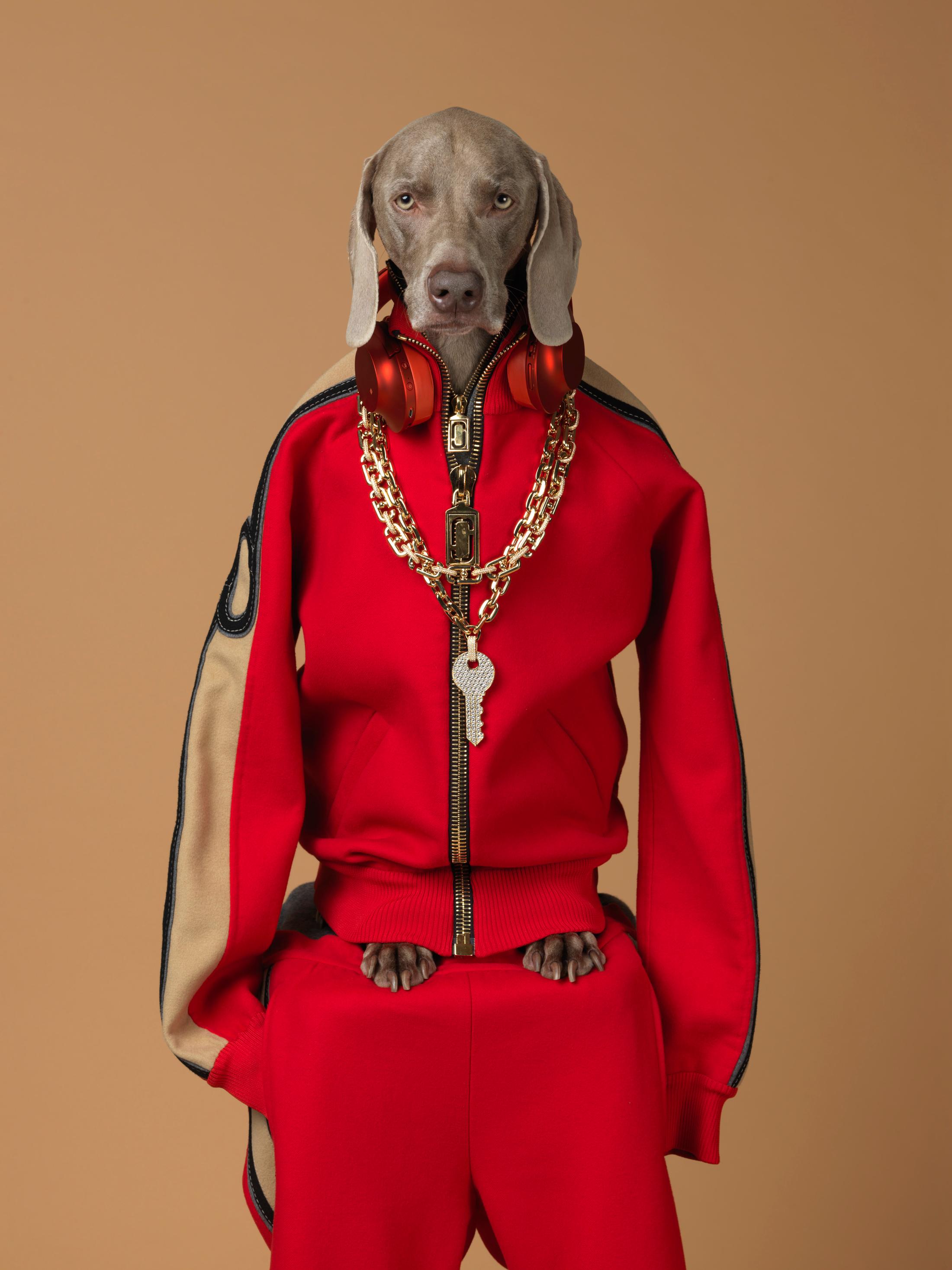 Exhibition View William Wegman Soloshow «Being Human; view on Qey, 2017» at MASI, Lugano, 2019 / © William Wegmann / Courtesy: the artist and MASI, Lugano