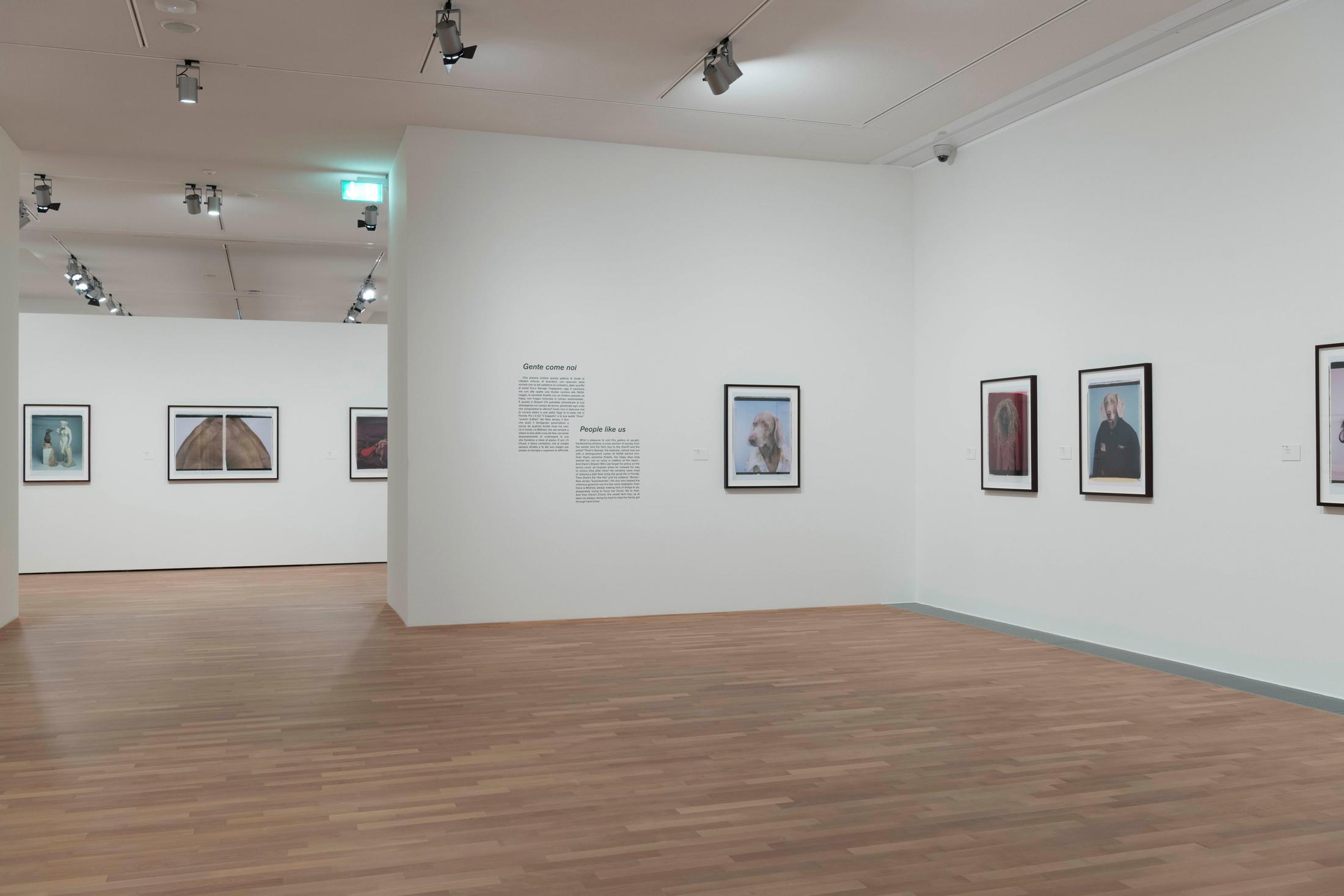 Exhibition View William Wegman Soloshow «Being Human» at MASI, Lugano, 2019 / Courtesy: the artist and MASI, Lugano