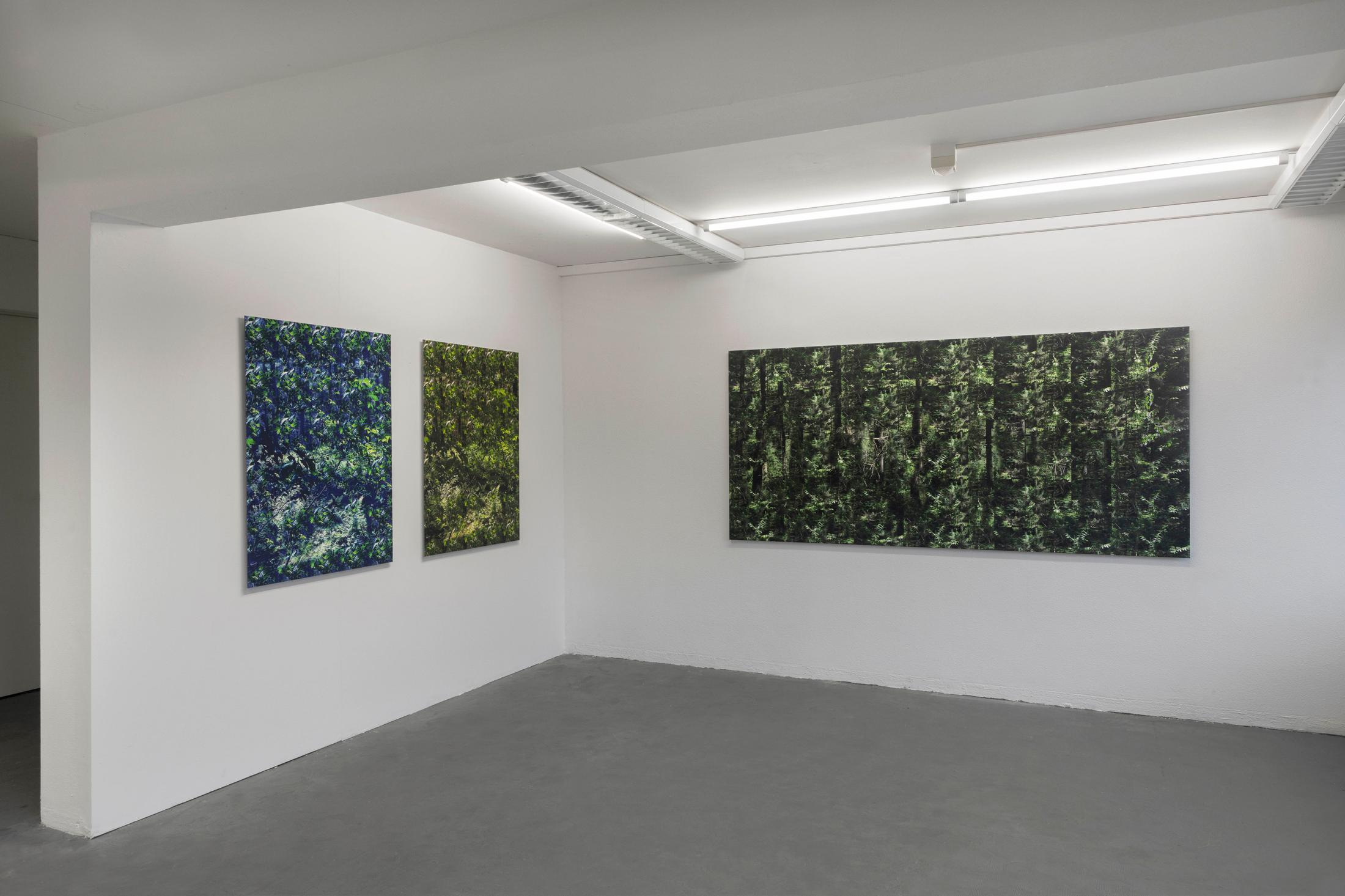 Exhibition View Wolfgang Voigt Soloshow «Wald Loops» at Suns Works, Zurich, 2020 / Photo: Simon Baumberger / Courtesy: the artist and Suns Works