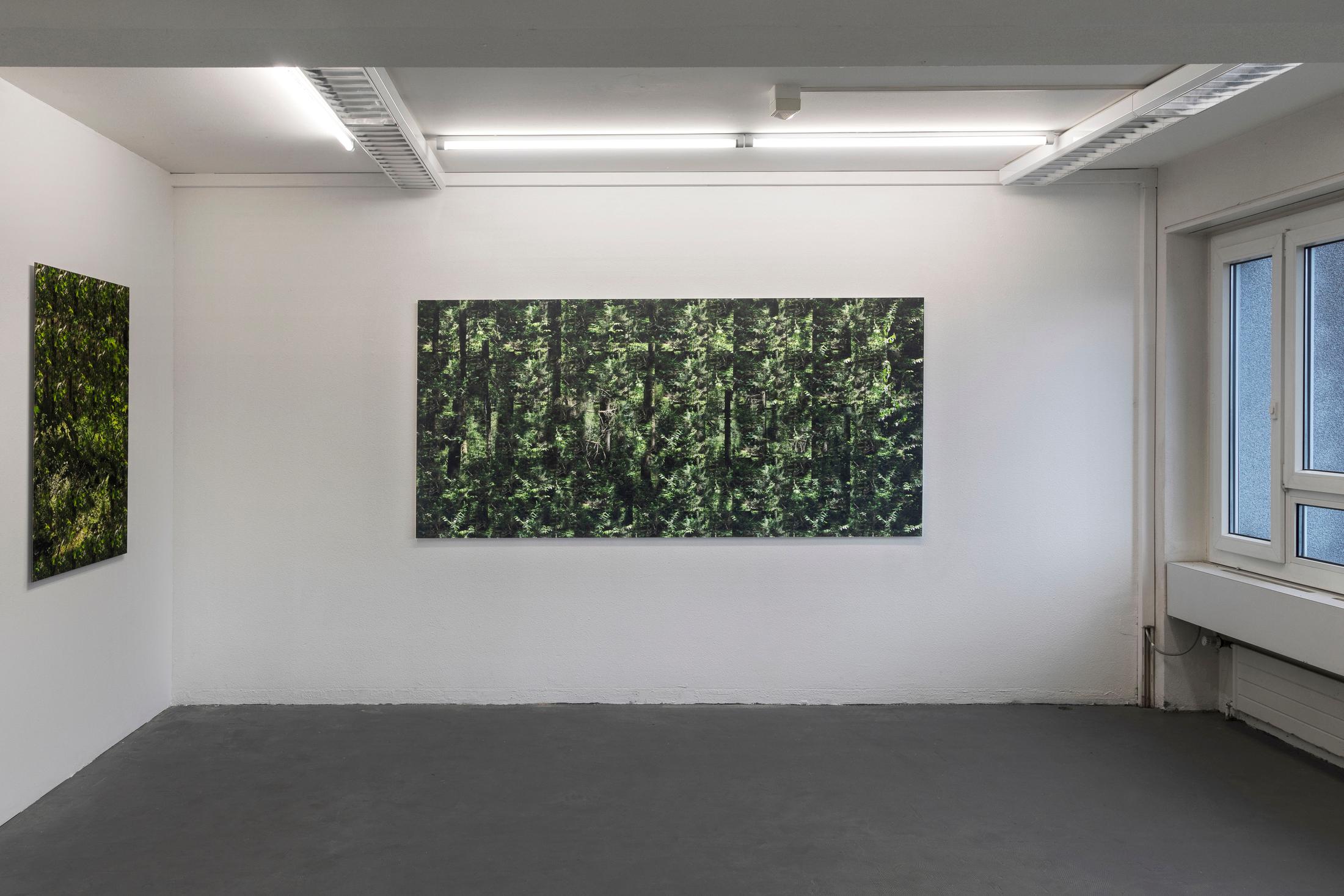 Exhibition View Wolfgang Voigt Soloshow «Wald Loops» at Suns Works, Zurich, 2020 / Photo: Simon Baumberger / Courtesy: the artist and Suns Works