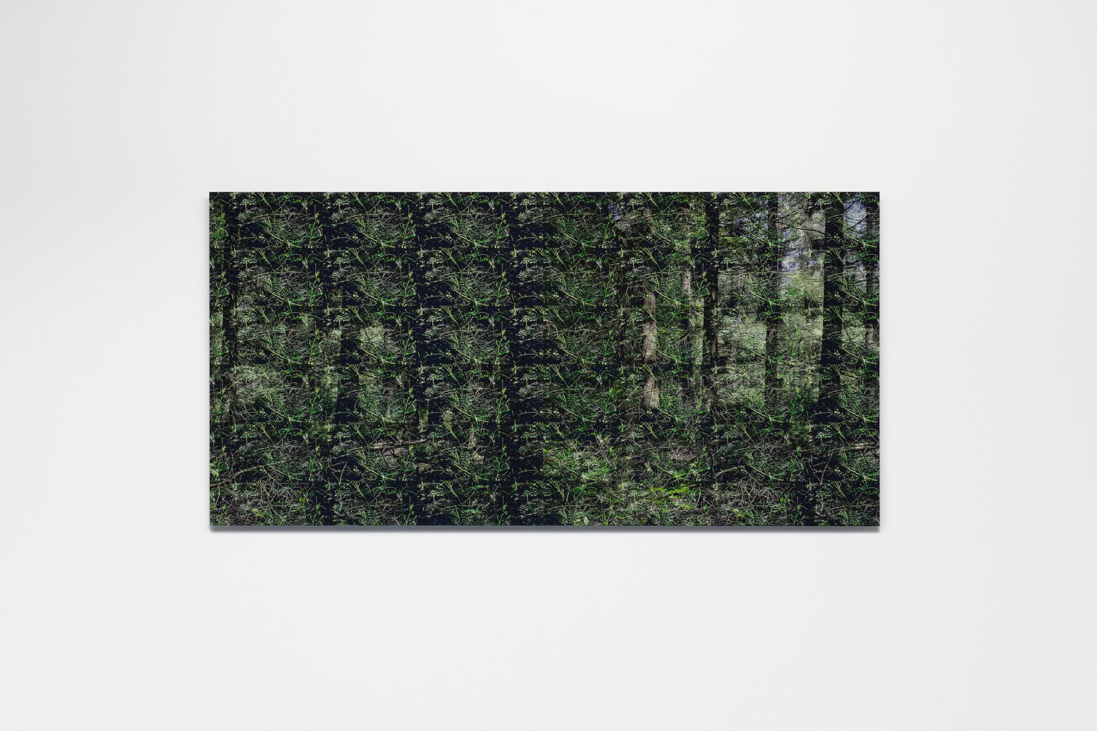 Exhibition View Wolfgang Voigt Soloshow «Wald Loops; view on Wolfgang Voigt, Rausch, 2018» at Suns Works, Zurich, 2020 / Photo: Simon Baumberger / Courtesy: the artist and Suns Works