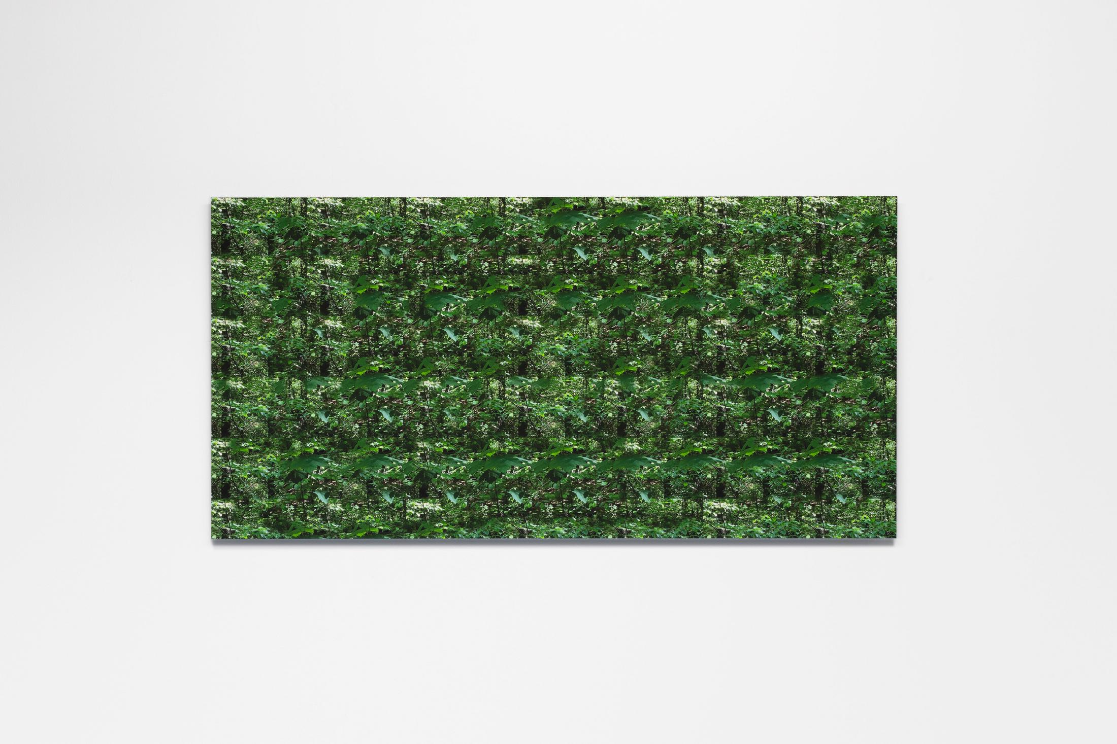 Exhibition View Wolfgang Voigt Soloshow «Wald Loops; view on Wolfgang Voigt, Waldloop 6.7, 2020» at Suns Works, Zurich, 2020 / Photo: Simon Baumberger / Courtesy: the artist and Suns Works