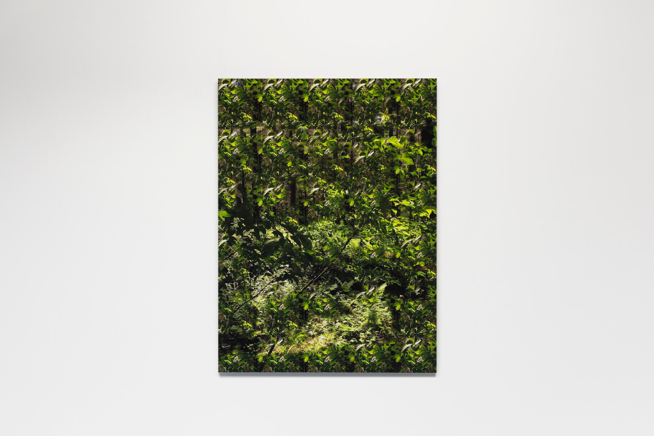 Exhibition View Wolfgang Voigt Soloshow «Wald Loops; view on Wolfgang Voigt, Waldloop 6.4, 2020» at Suns Works, Zurich, 2020 / Photo: Simon Baumberger / Courtesy: the artist and Suns Works