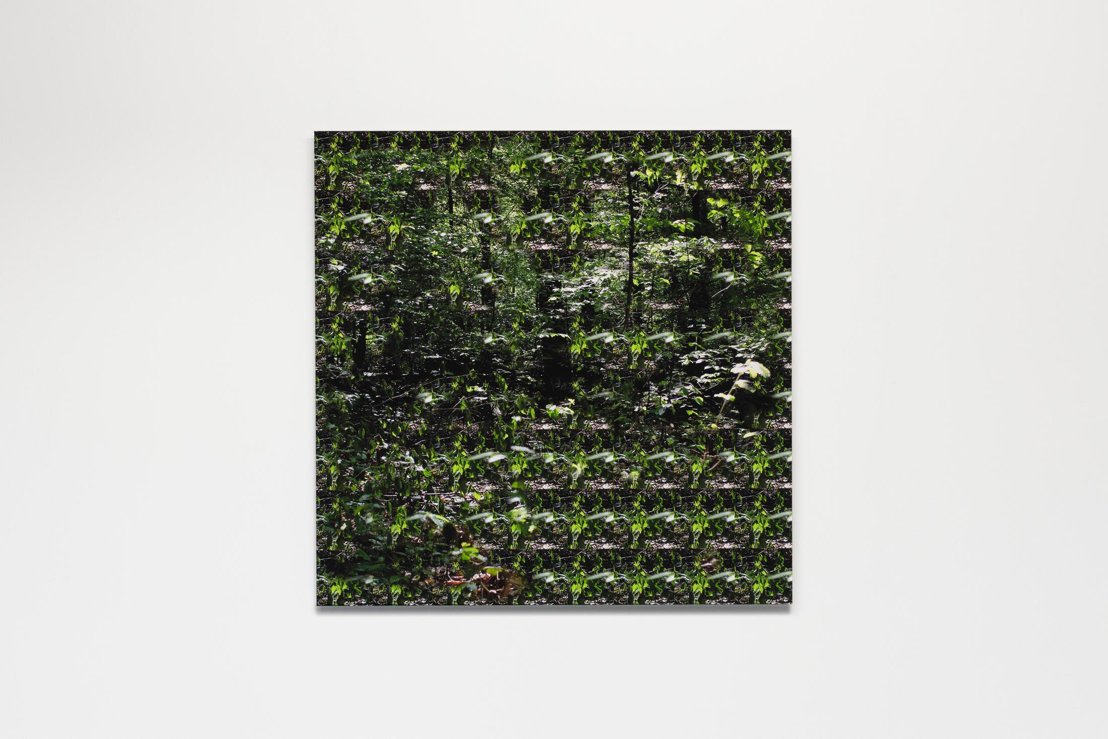 Exhibition View Wolfgang Voigt Soloshow «Wald Loops; view on Wolfgang Voigt, Waldloop 6.1, 2020» at Suns Works, Zurich, 2020 / Photo: Simon Baumberger / Courtesy: the artist and Suns Works