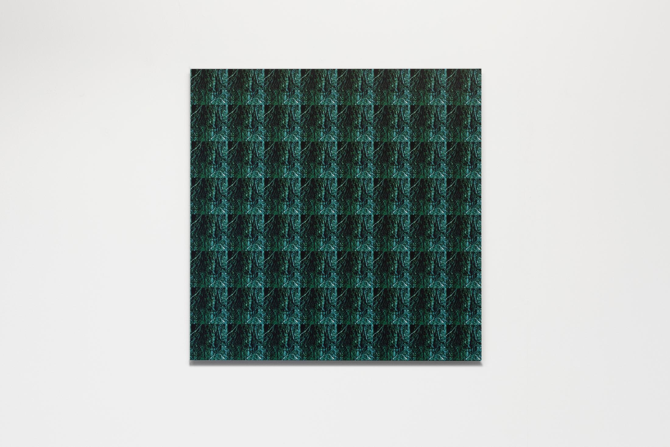 Exhibition View Wolfgang Voigt Soloshow «Wald Loops; view on Wolfgang Voigt, Nah und Fern 4, 1997-2008» at Suns Works, Zurich, 2020 / Photo: Simon Baumberger / Courtesy: the artist and Suns Works