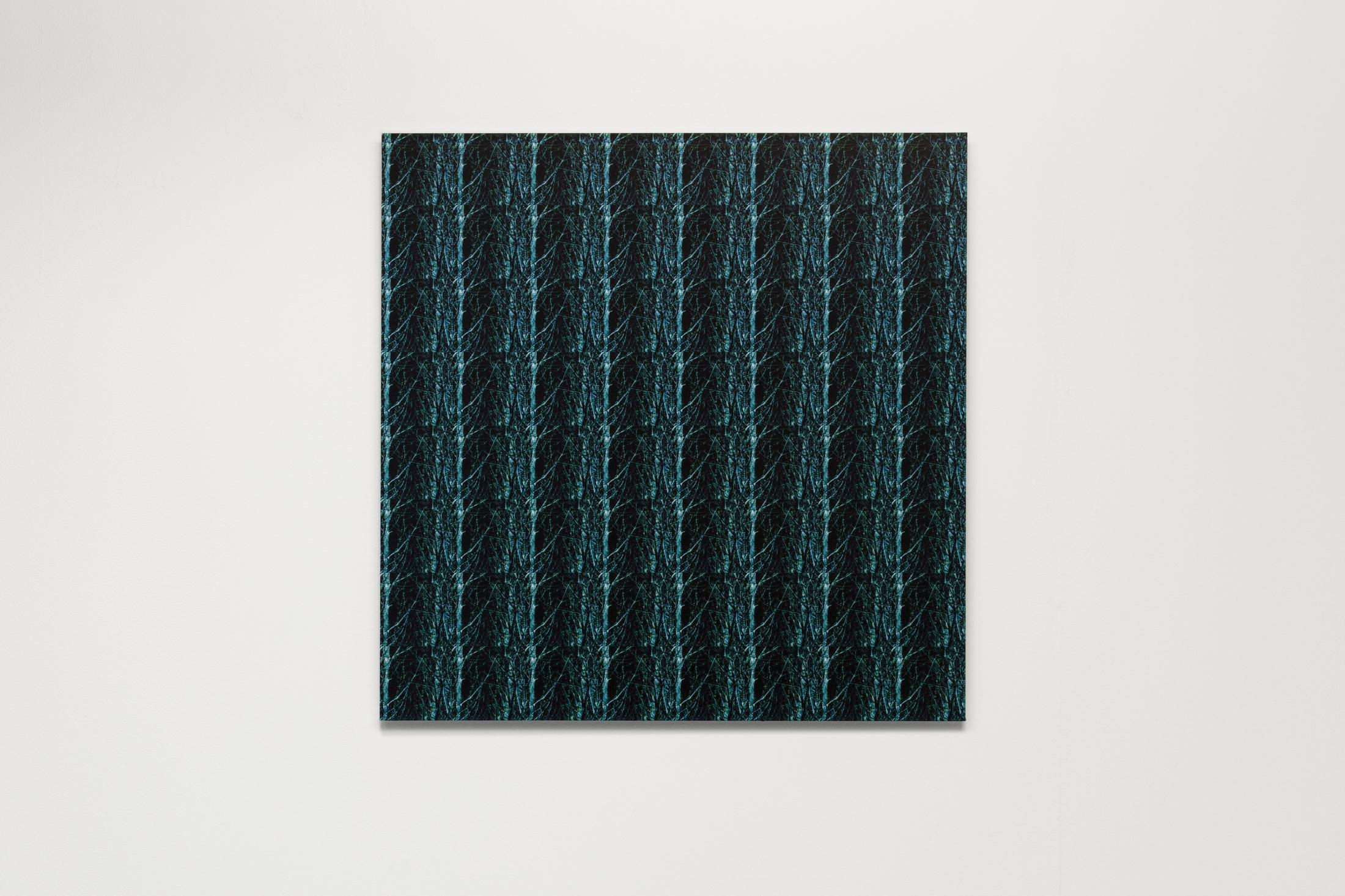 Exhibition View Wolfgang Voigt Soloshow «Wald Loops; view on Wolfgang Voigt, Nah und Fern 3, 1997-2008» at Suns Works, Zurich, 2020 / Photo: Simon Baumberger / Courtesy: the artist and Suns Works