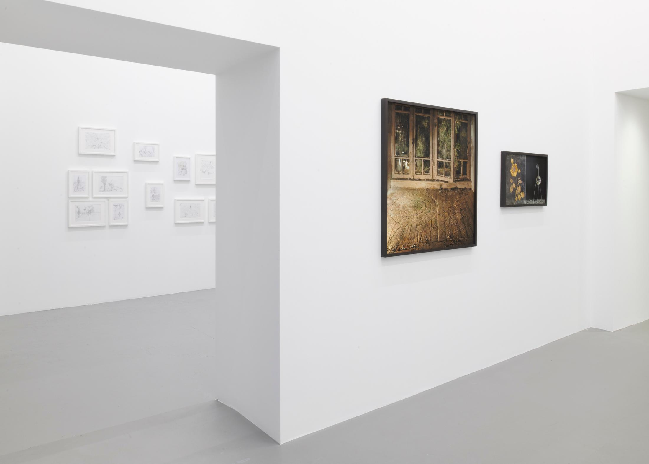 Exhibition View Yuval Yairi Soloshow «Cyphers & Cypresses» at Fabienne Levy, Lausanne, 2019 / Photo: Guillaume Baeriswyl / Courtesy: the artist and Fabienne Levy