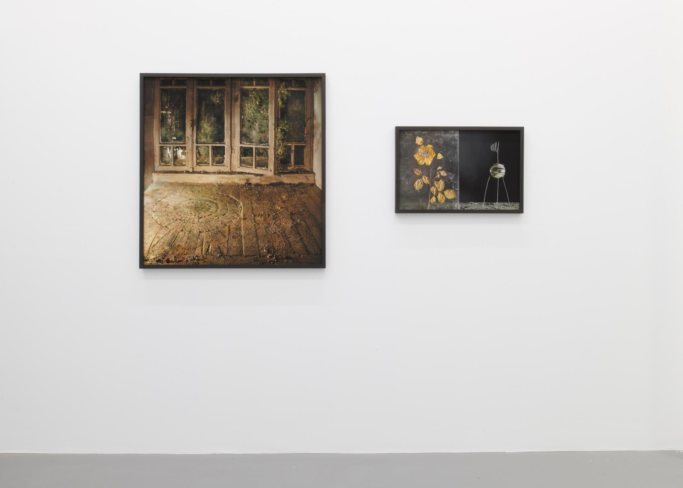 Exhibition View Yuval Yairi Soloshow «Cyphers & Cypresses» at Fabienne Levy, Lausanne, 2019 / Photo: Guillaume Baeriswyl / Courtesy: the artist and Fabienne Levy