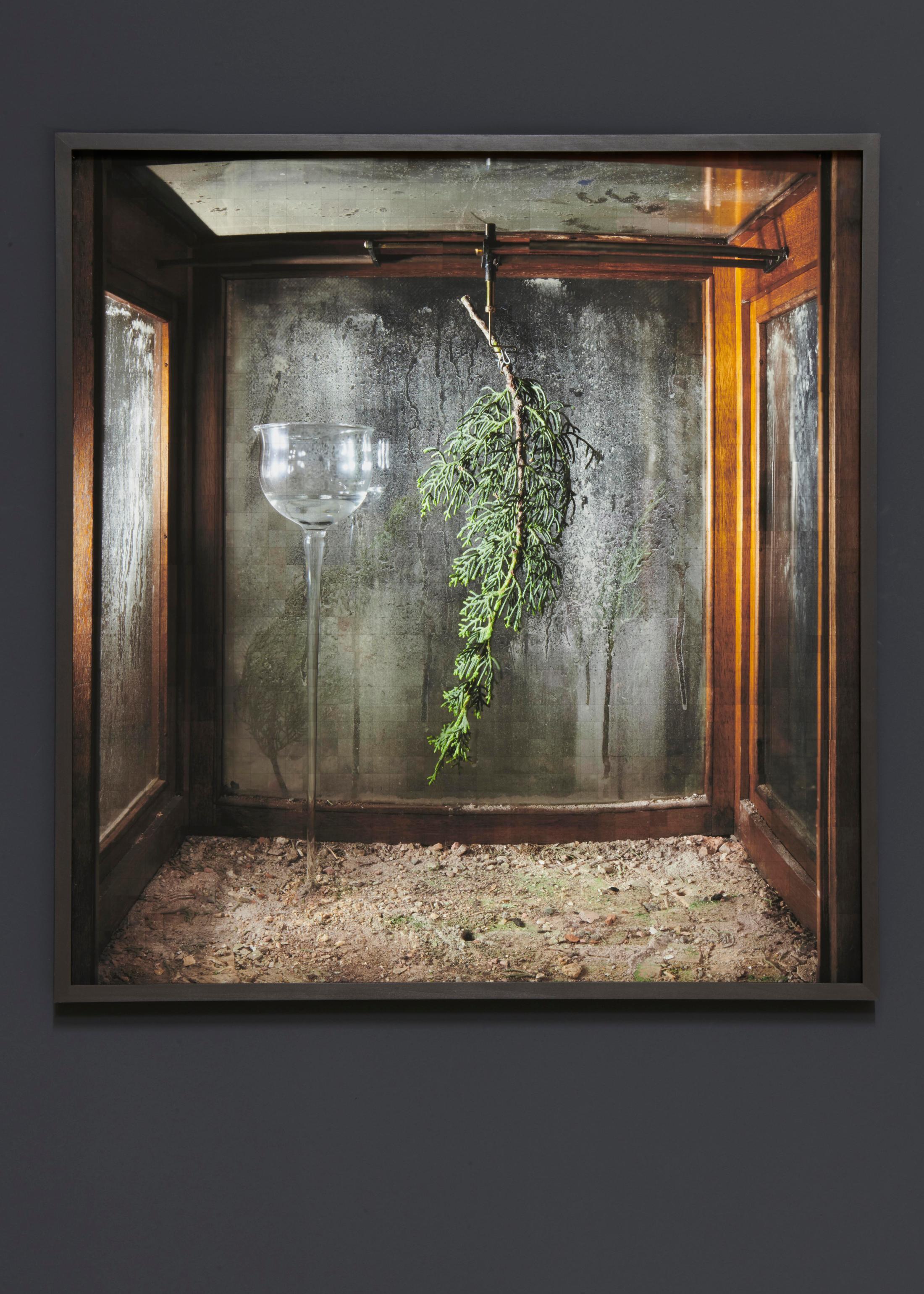 Exhibition View Yuval Yairi Soloshow «Cyphers & Cypresses; view on Camera Obscura, 2019» at Fabienne Levy, Lausanne, 2019 / Photo: Guillaume Baeriswyl / Courtesy: the artist and Fabienne Levy