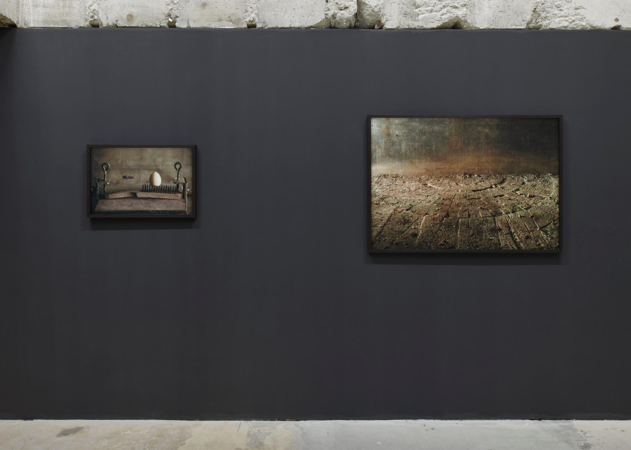 Exhibition View Yuval Yairi Soloshow «Cyphers & Cypresses» at Fabienne Levy, Lausanne, 2019 / Photo: Guillaume Baeriswyl / Courtesy: the artist and Fabienne Levy