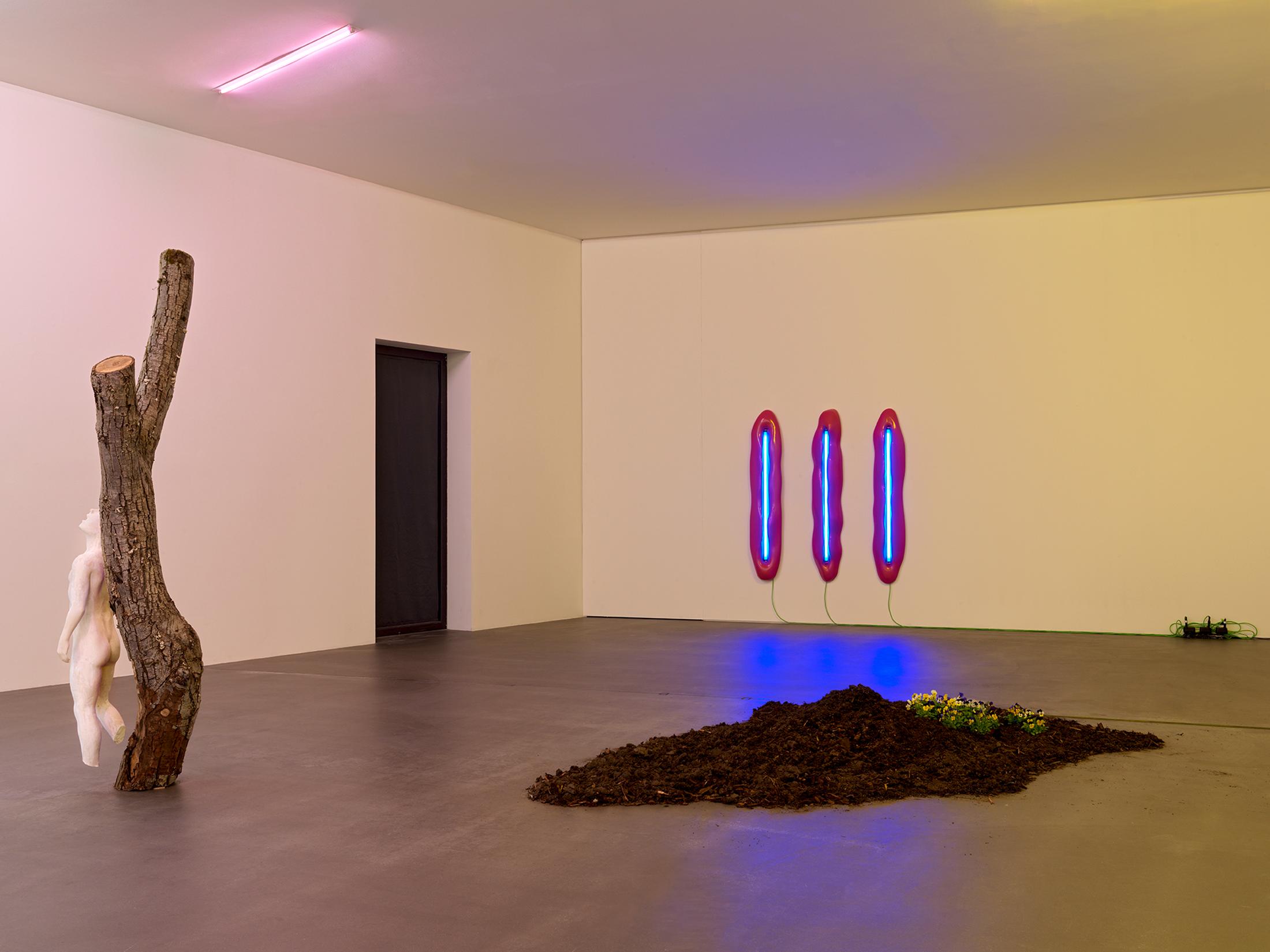 Exhibition View Yves Scherer Solo Show «Candids» at Kunsthaus Grenchen, Grenchen, 2020 / Photo: Stefan Altenburger / Courtesy: the artist and Kunsthaus Grenchen