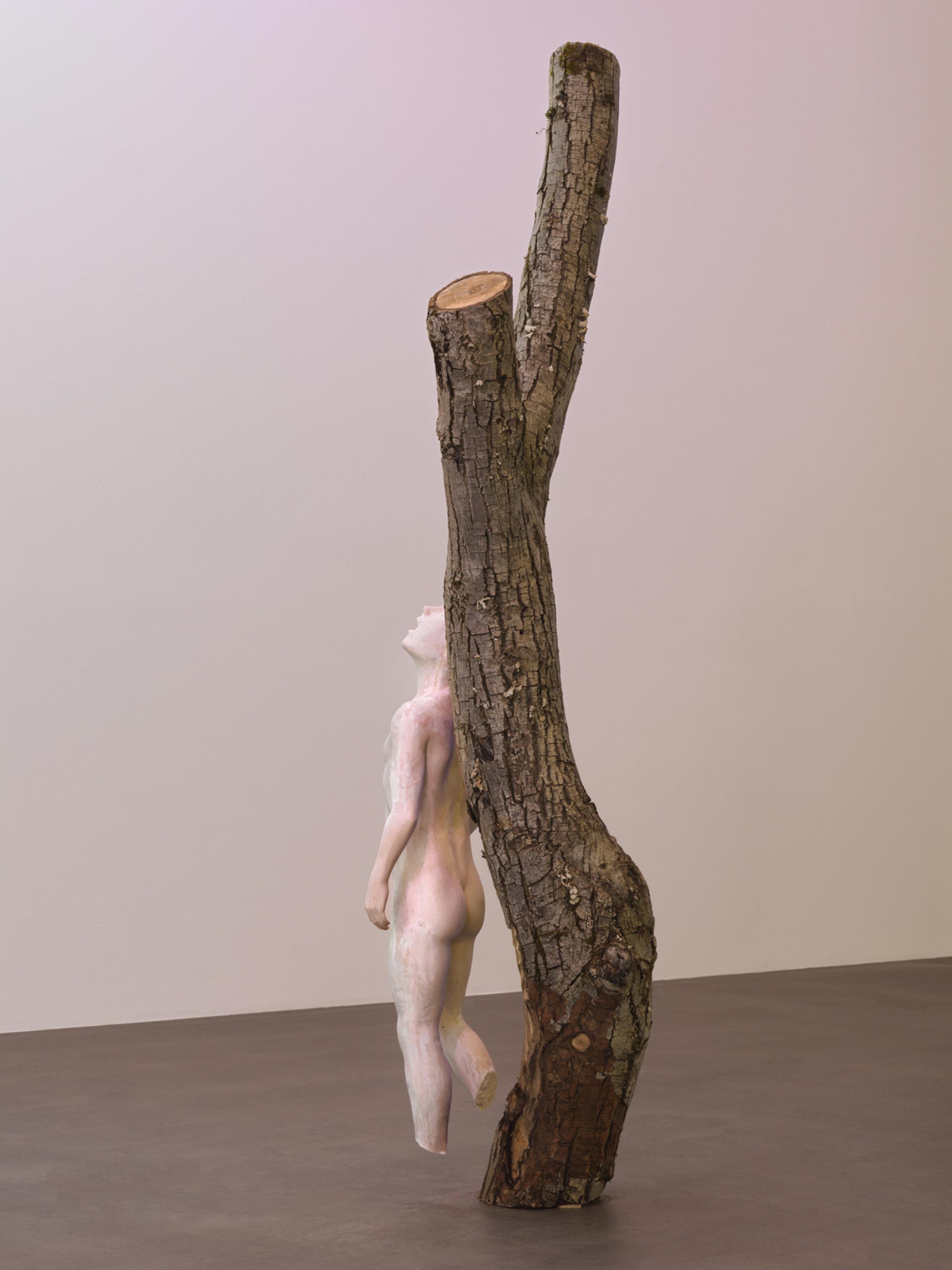 Exhibition View Yves Scherer Solo Show «Candids; view on Yves Scherer, Boy with tree, 2020, Wood, Aqua Resin, Fiberglass, Metal, 215 x 76 x 55 cm» at Kunsthaus Grenchen, Grenchen, 2020 / Photo: Stefan Altenburger / Courtesy: the artist and Kunsthaus Grenchen