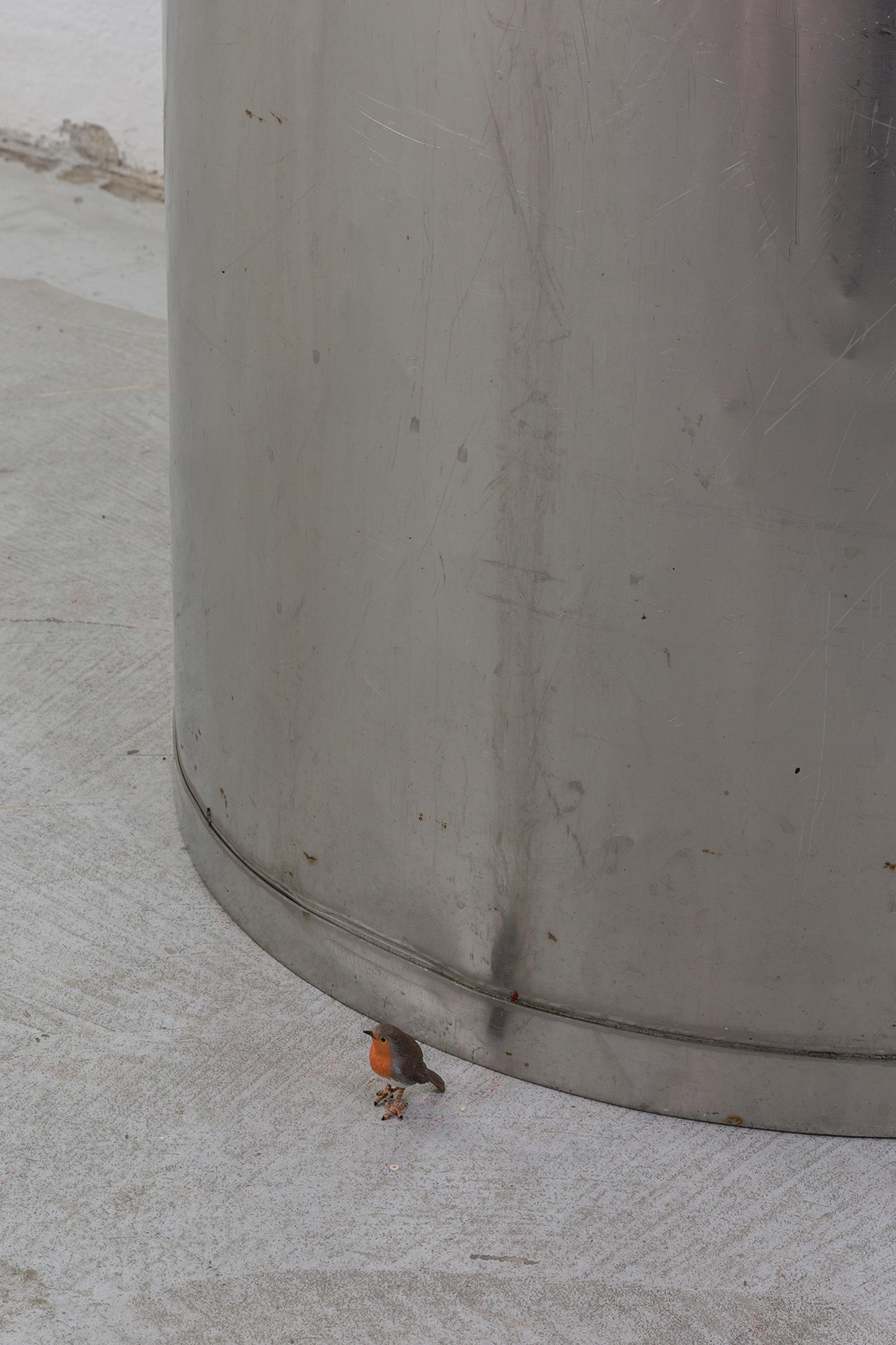 Exhibition View Group Show «Shifting Destinations; view on Zoé Cornelius, Andromède, 2017-2023» at 13 Vitrine hosted by L'Espace du Fond, Lausanne, 2023 / Photo: 13 Vitrine / Courtesy: the artist and 13 Vitrine