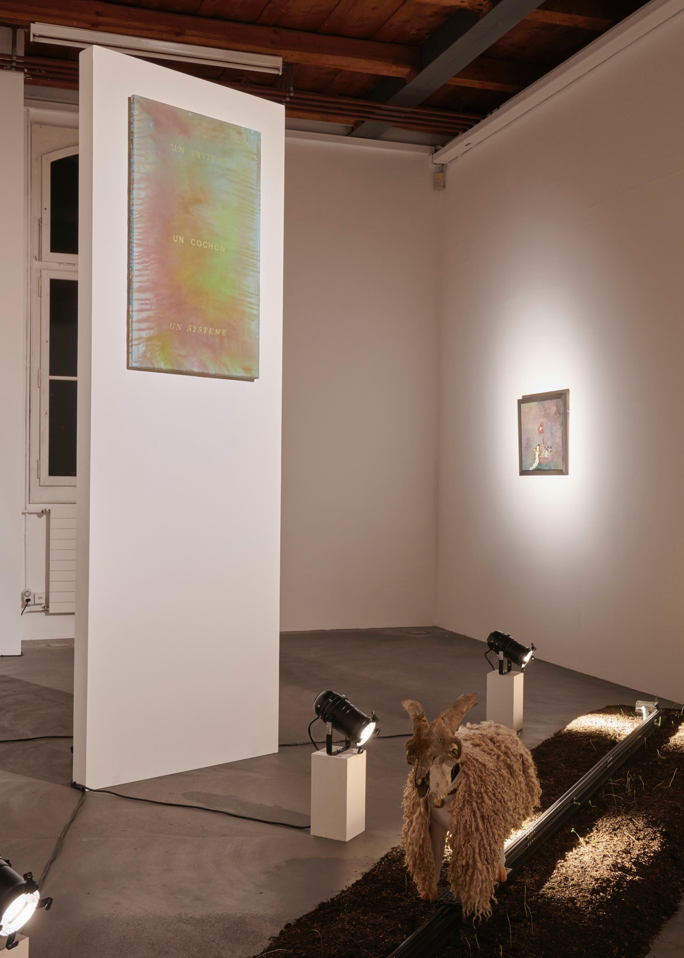Exhibition View Groupshow «A Home is not a House» at Fri Art, Fribourg, 2019 / Courtesy: the artists and Fri Art