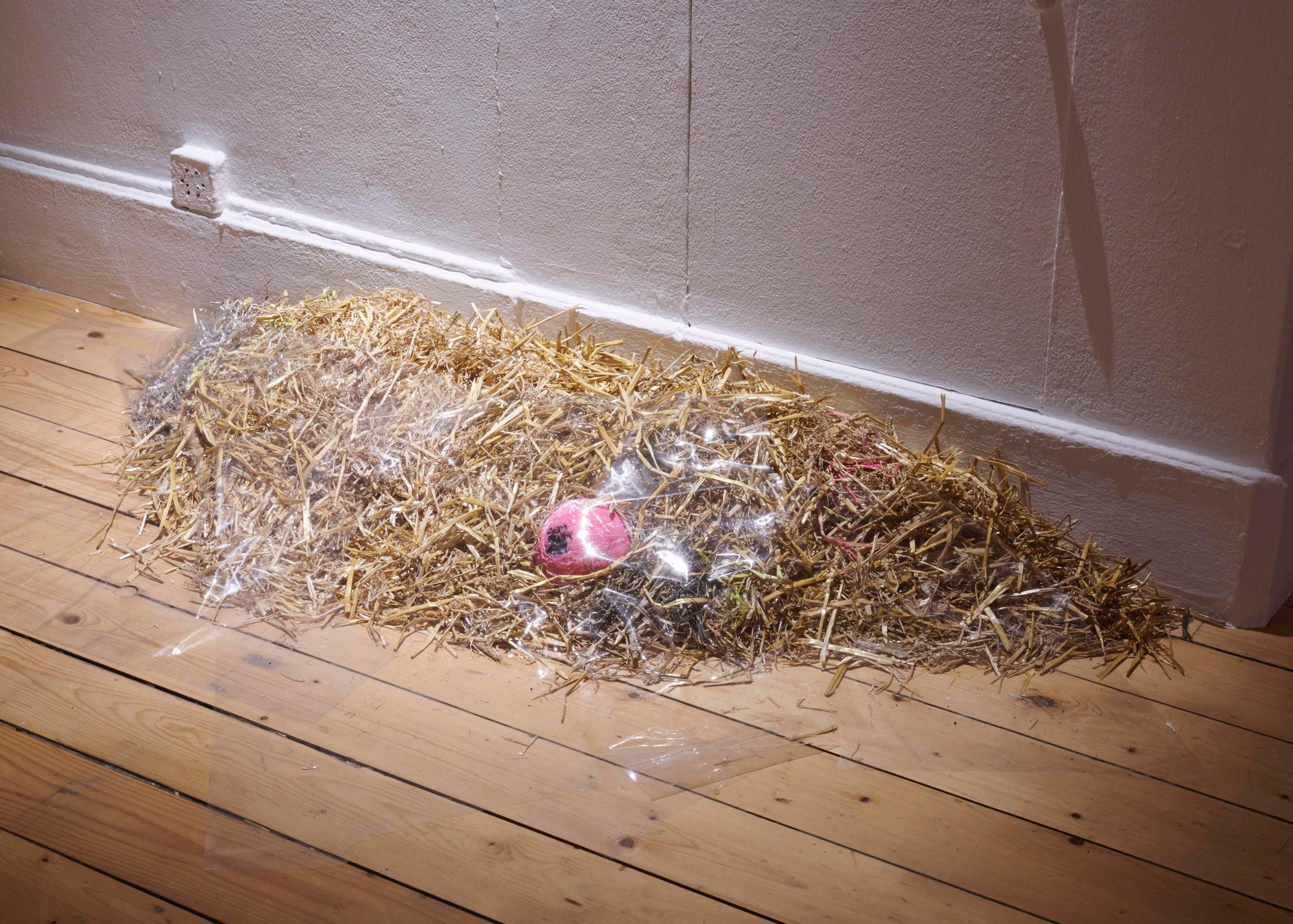 Exhibition View Groupshow «A Home is not a House; view on Sveta Mordovskaya, Guts, 2019» at Fri Art, Fribourg, 2019 / Courtesy: the artists and Fri Art