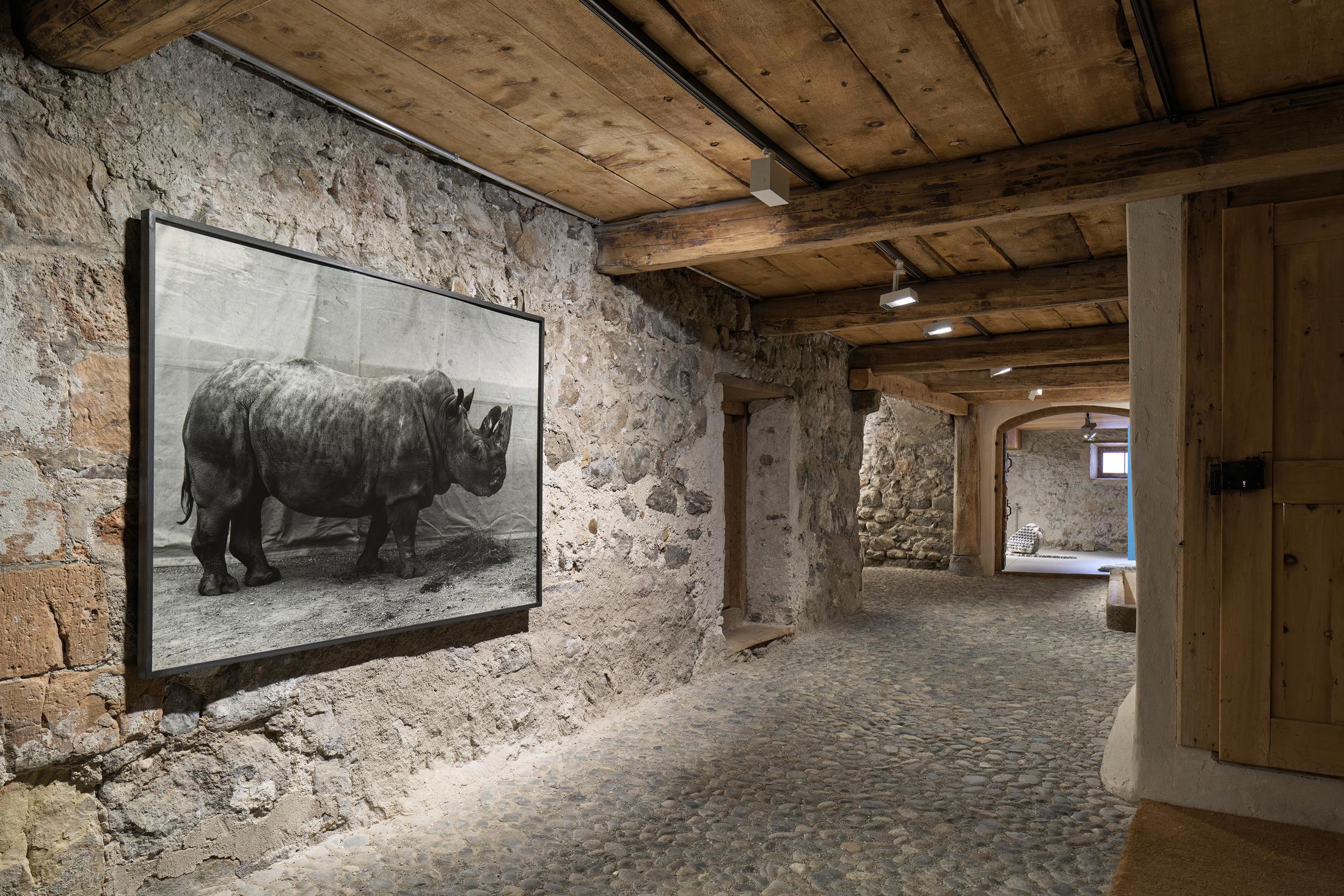 Exhibition View Groupshow «Absolutely Tschudi» at Galerie Tschudi, Zuoz, 2019 / Photo: Ralph Feiner, Malans / Courtesy: the artists and Galerie Tschudi, Zuoz