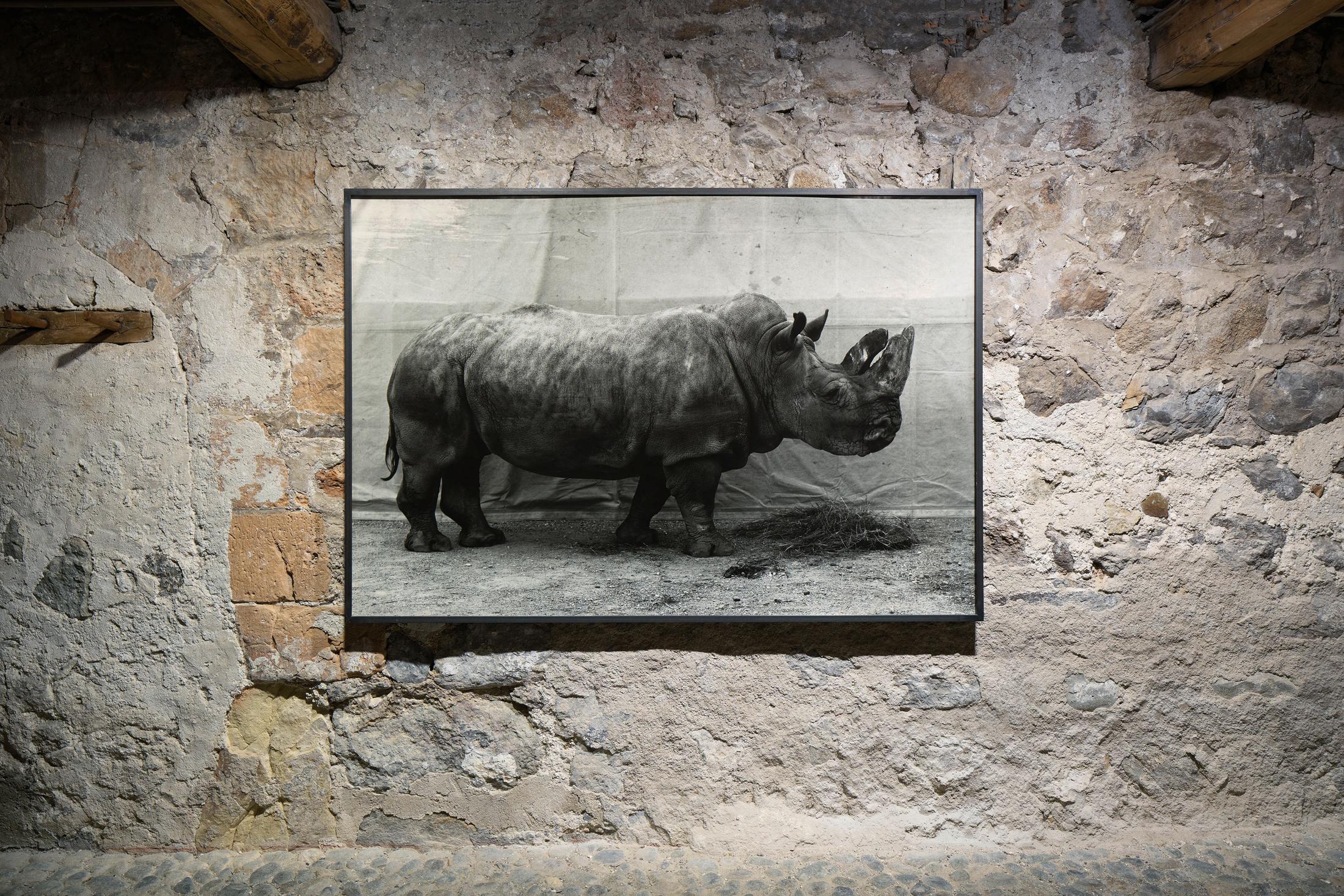 Exhibition View Groupshow «Absolutely Tschudi» at Galerie Tschudi, Zuoz, 2019 / Photo: Ralph Feiner, Malans / Courtesy: the artists and Galerie Tschudi, Zuoz