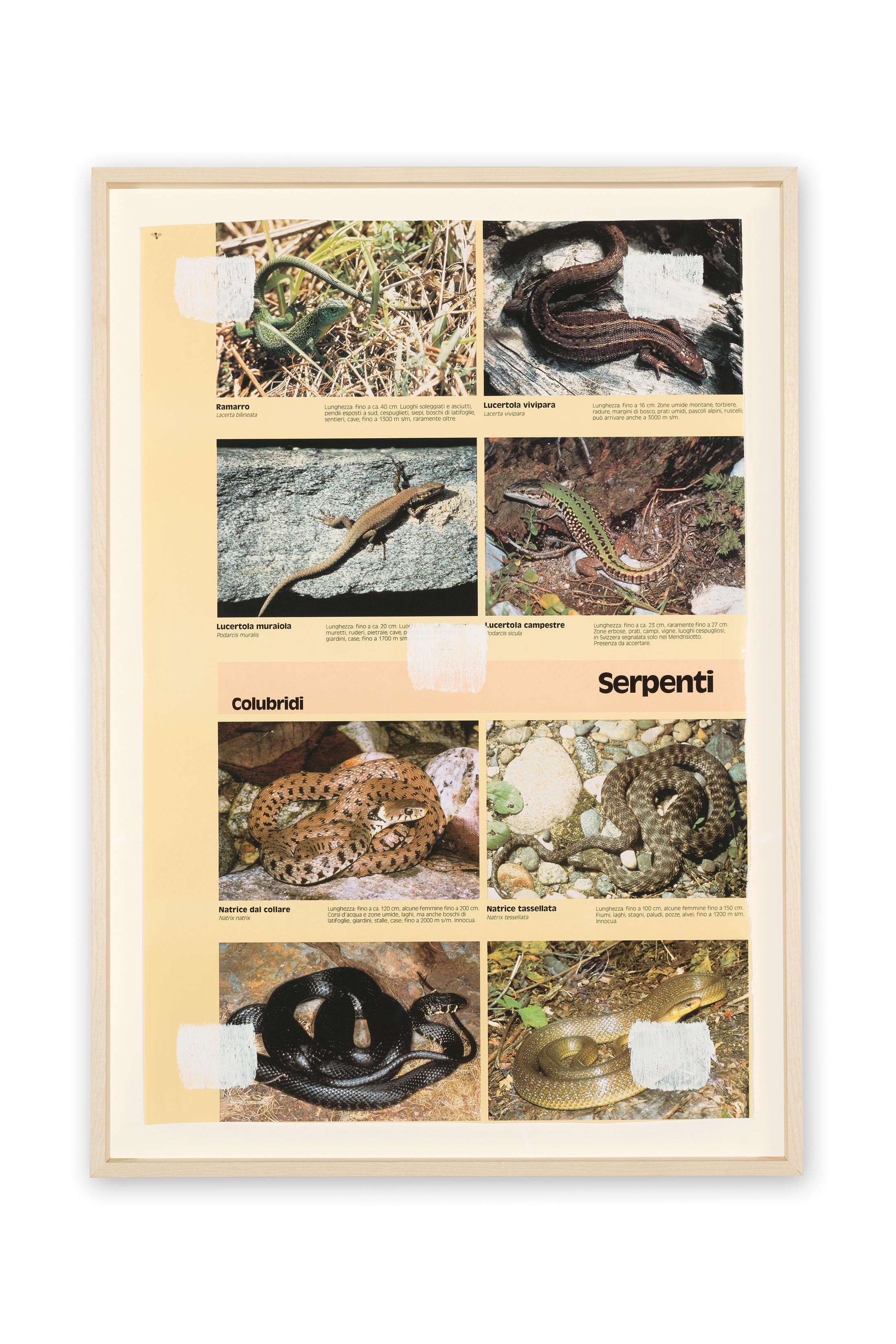 Exhibition View Groupshow «Absolutely Tschudi» at Galerie Tschudi, Zuoz, 2019 / Photo: Ralph Feiner, Malans / Courtesy: the artists and Galerie Tschudi, Zuoz