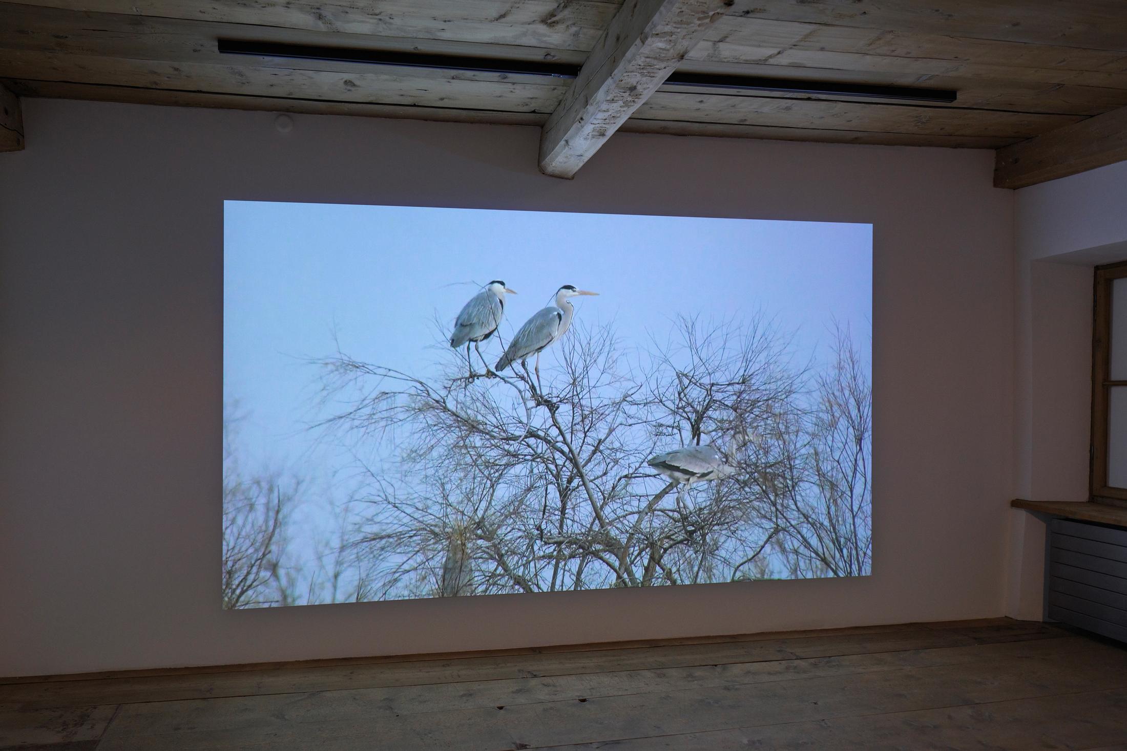 Exhibition View Groupshow «Absolutely Tschudi» at Galerie Tschudi, Zuoz, 2019 / Photo: Ralph Feiner, Malans / Courtesy: the artists and Galerie Tschudi, Zuoz