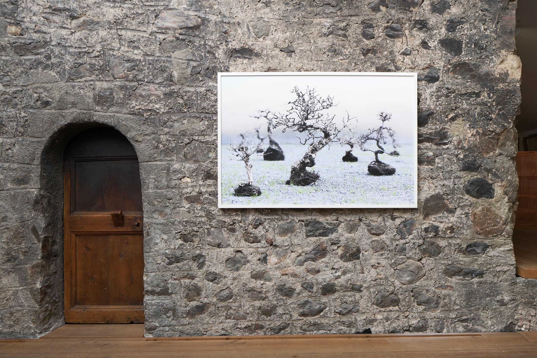 Exhibition View Groupshow «Absolutely Tschudi» at Galerie Tschudi, Zuoz, 2019 / Photo: Ralph Feiner, Malans / Courtesy: the artists and Galerie Tschudi, Zuoz