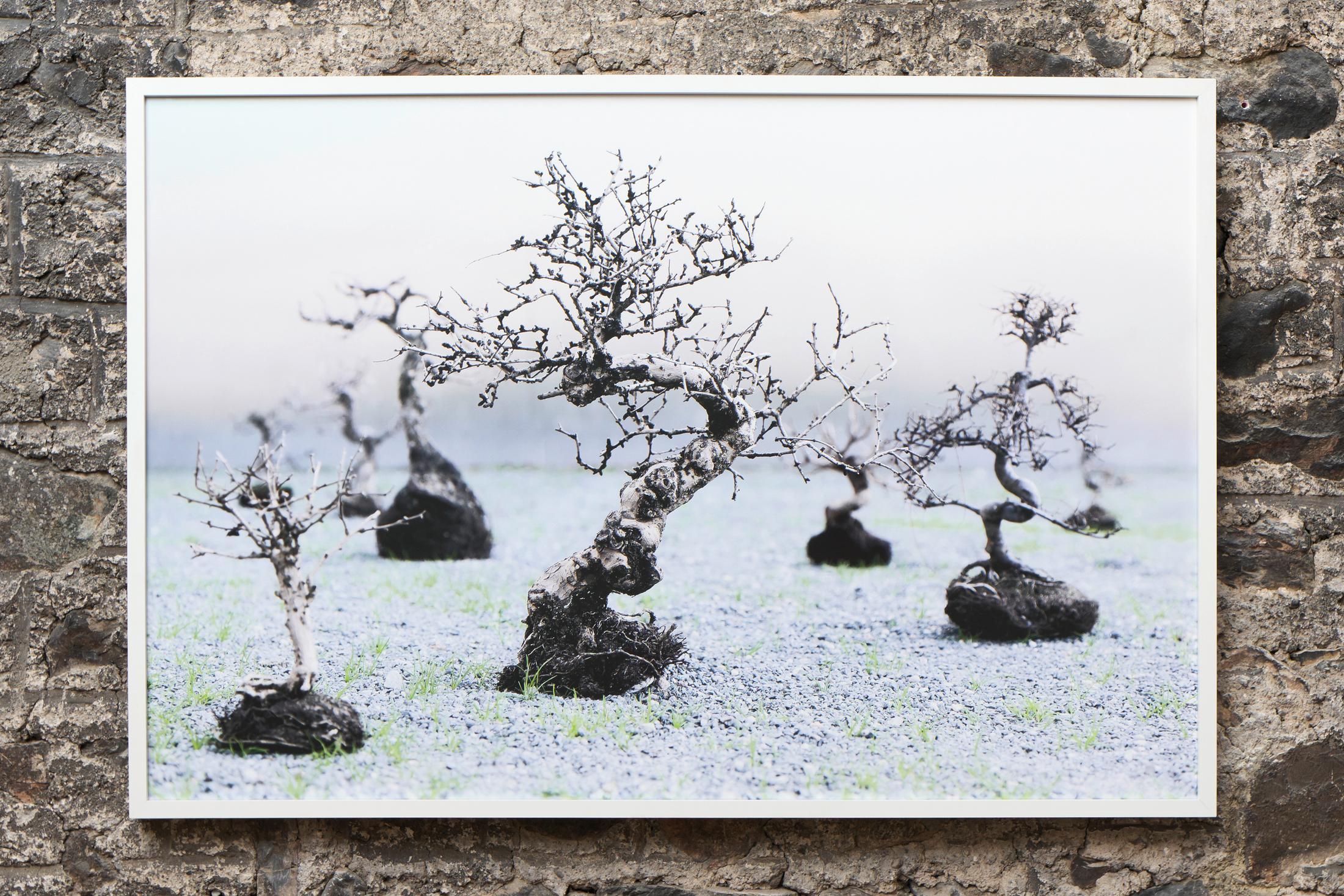 Exhibition View Groupshow «Absolutely Tschudi» at Galerie Tschudi, Zuoz, 2019 / Photo: Ralph Feiner, Malans / Courtesy: the artists and Galerie Tschudi, Zuoz