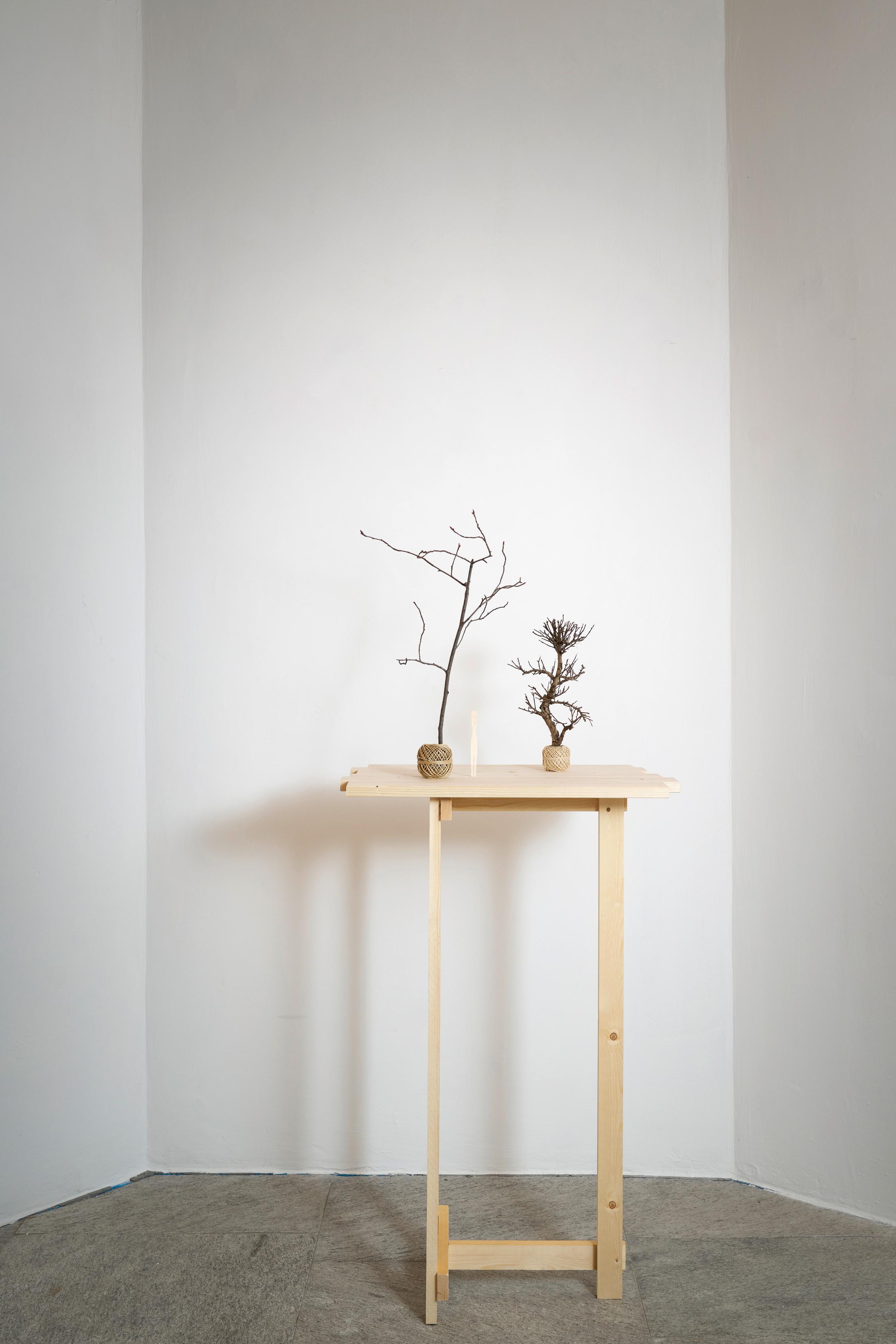 Exhibition View Groupshow «Absolutely Tschudi» at Galerie Tschudi, Zuoz, 2019 / Photo: Ralph Feiner, Malans / Courtesy: the artists and Galerie Tschudi, Zuoz