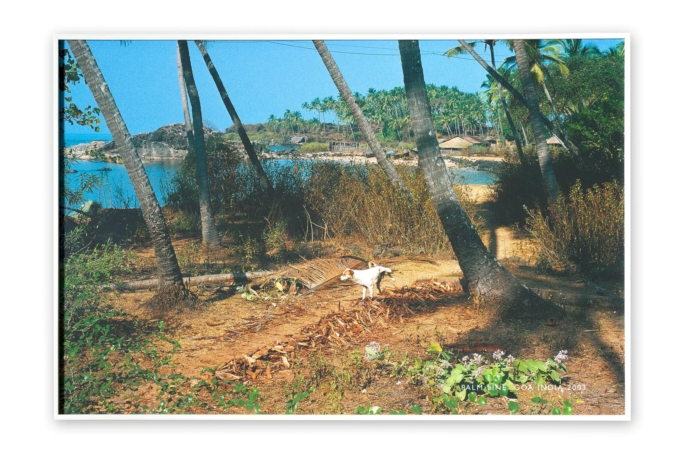 Exhibition View Groupshow «Absolutely Tschudi» at Galerie Tschudi, Zuoz, 2019 / Photo: Ralph Feiner, Malans / Courtesy: the artists and Galerie Tschudi, Zuoz