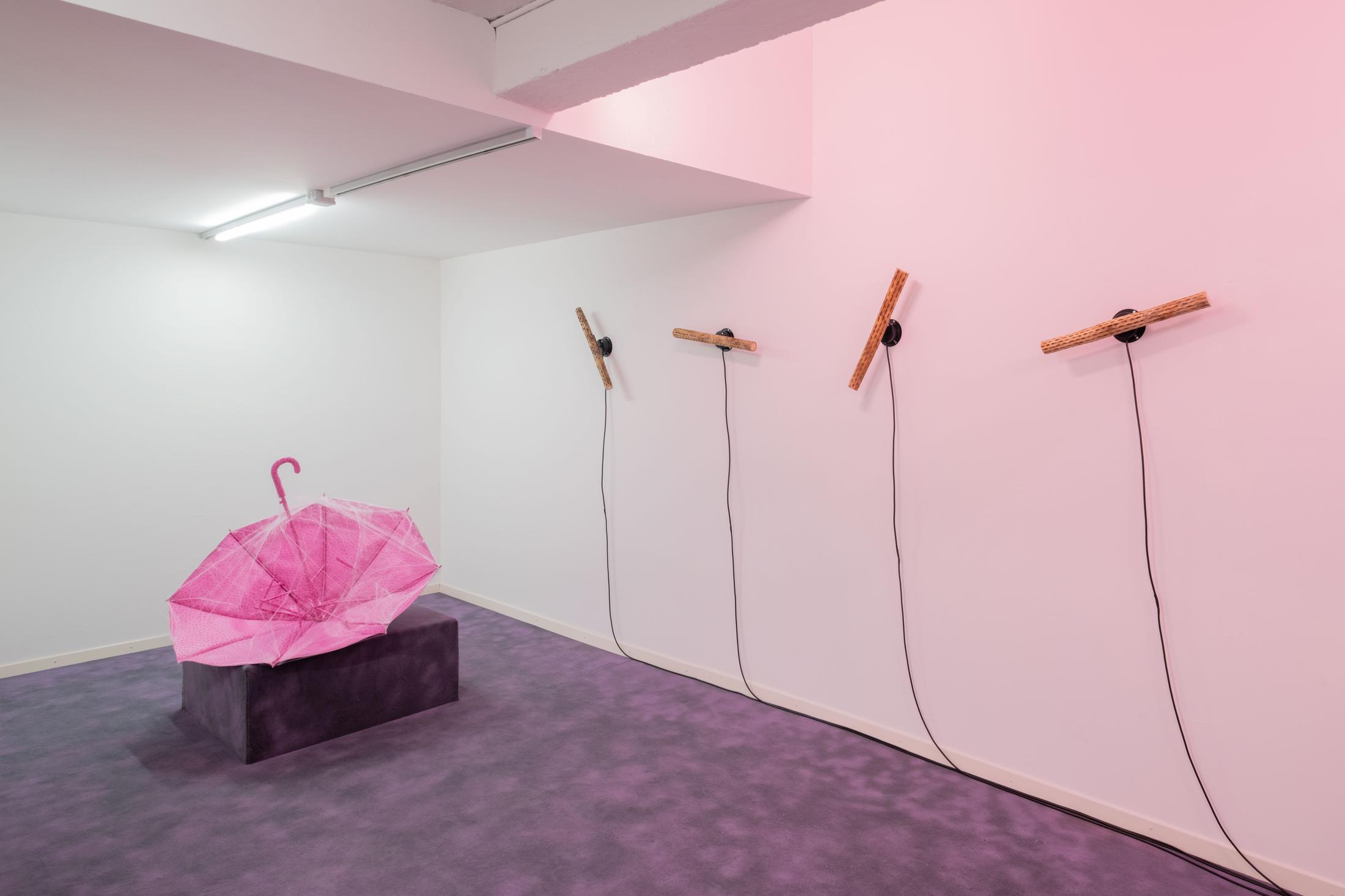 Exhibition View Adam Cruces Solo Show «Eavesdropping» at Blue Velvet Projects, Zurich, 2022 / Photo: Flavio Karrer / Courtesy: the artist and Blue Velvet Projects