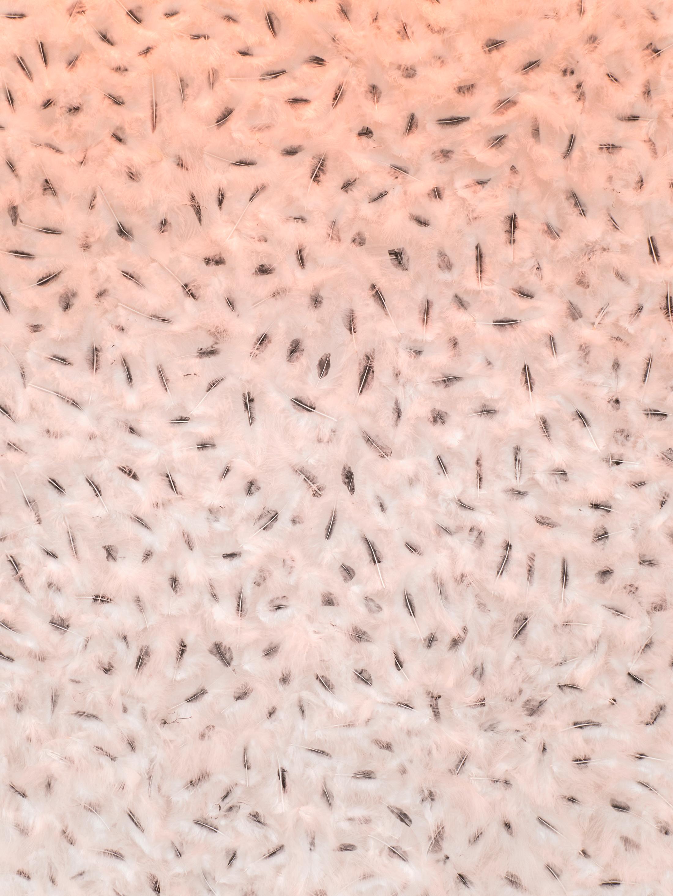 Exhibition View Adam Cruces Solo Show «When the Dust Settles; view on Adam Cruces, A Ghost in Pain, 2021» at Rindermarkt 23, 2021 / Photo and Courtesy: the artist and Rindermarkt 23