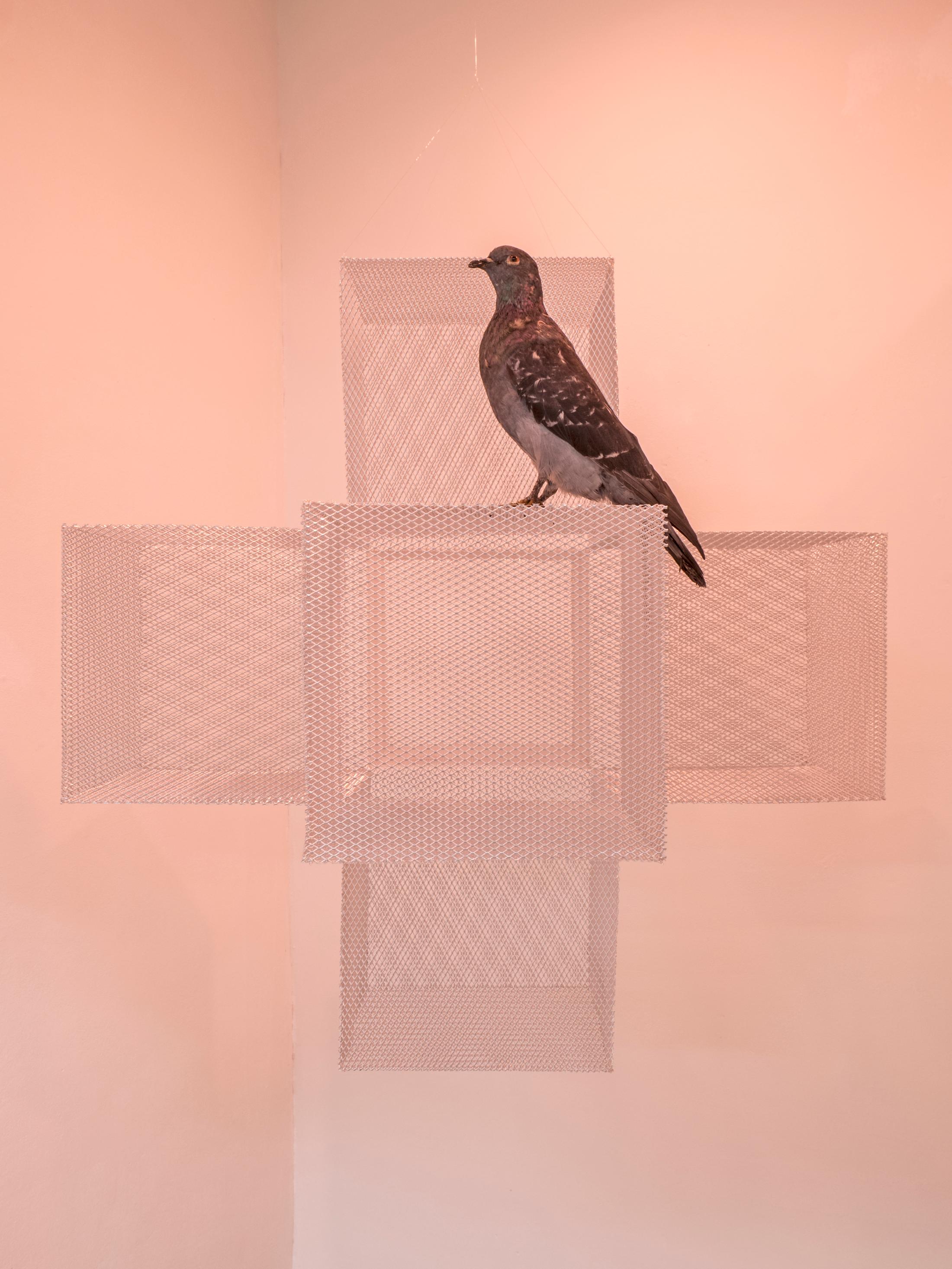 Exhibition View Adam Cruces Solo Show «When the Dust Settles; view on Adam Cruces, Pigeon on a cross, 2021» at Rindermarkt 23, 2021 / Photo and Courtesy: the artist and Rindermarkt 23