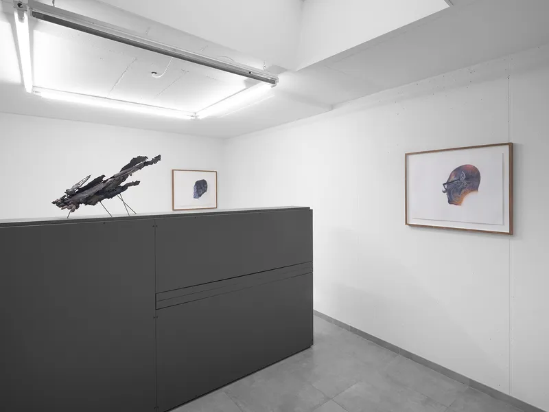 Exhibition View Alessandro Di Pietro Solo Show «Occult Desserts» at All Stars, Lausanne, 2022 / Photo: Julien Gremaud / Courtesy: the artist and All Stars