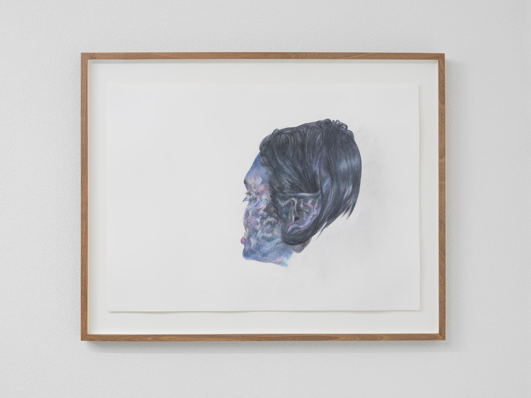 Exhibition View Alessandro Di Pietro Solo Show «Occult Desserts; view on Alessandro di Pietro, Vampirello Alvino, 2020, colored pencil, walnut wood, 63 x 81 x 4 cm» at All Stars, Lausanne, 2022 / Photo: Julien Gremaud / Courtesy: the artist and All Stars