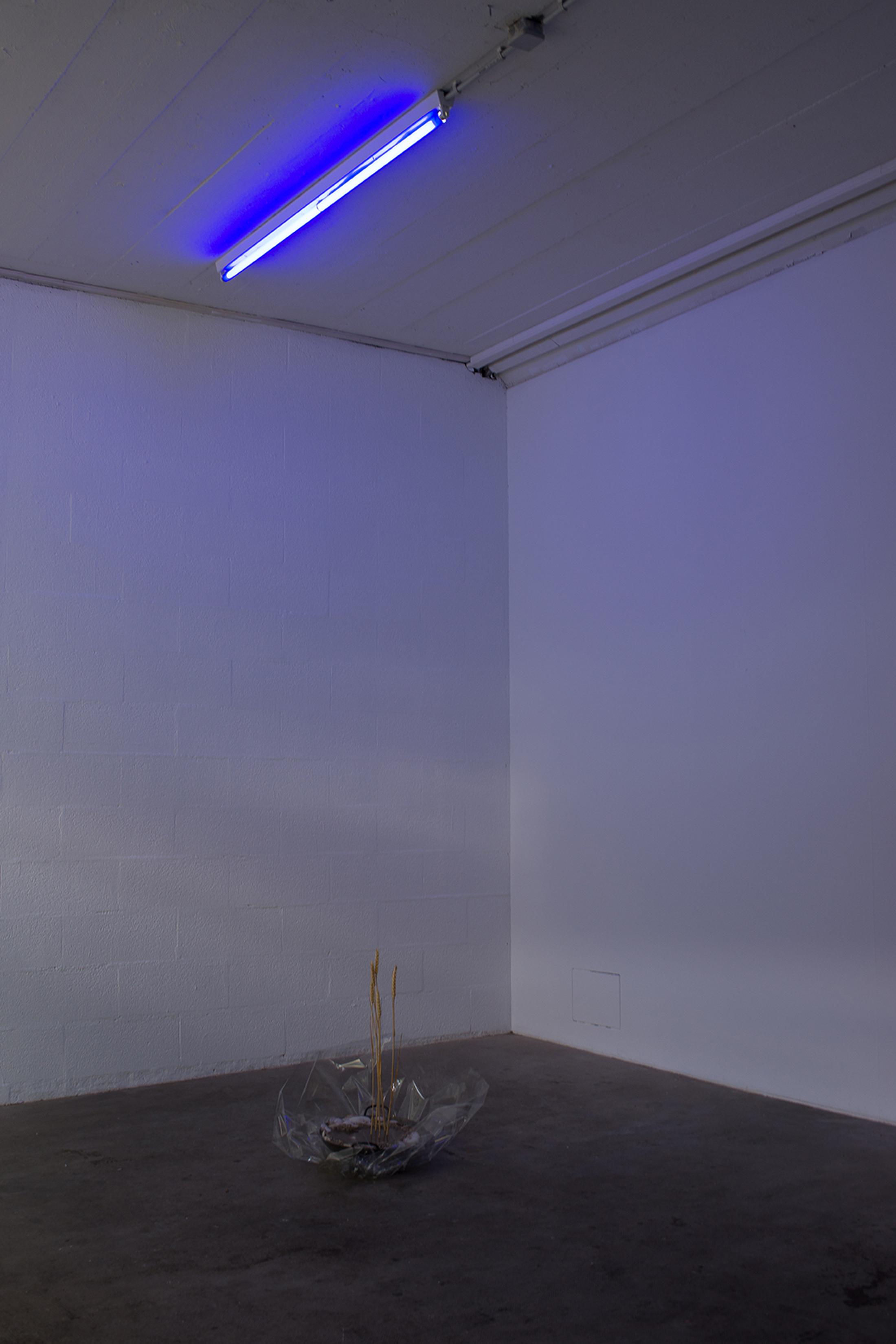 Installation View Alex Turgeon at Tunnel Tunnel, Lausanne / Photo: Mathilda Olmi / Courtesy: the artist