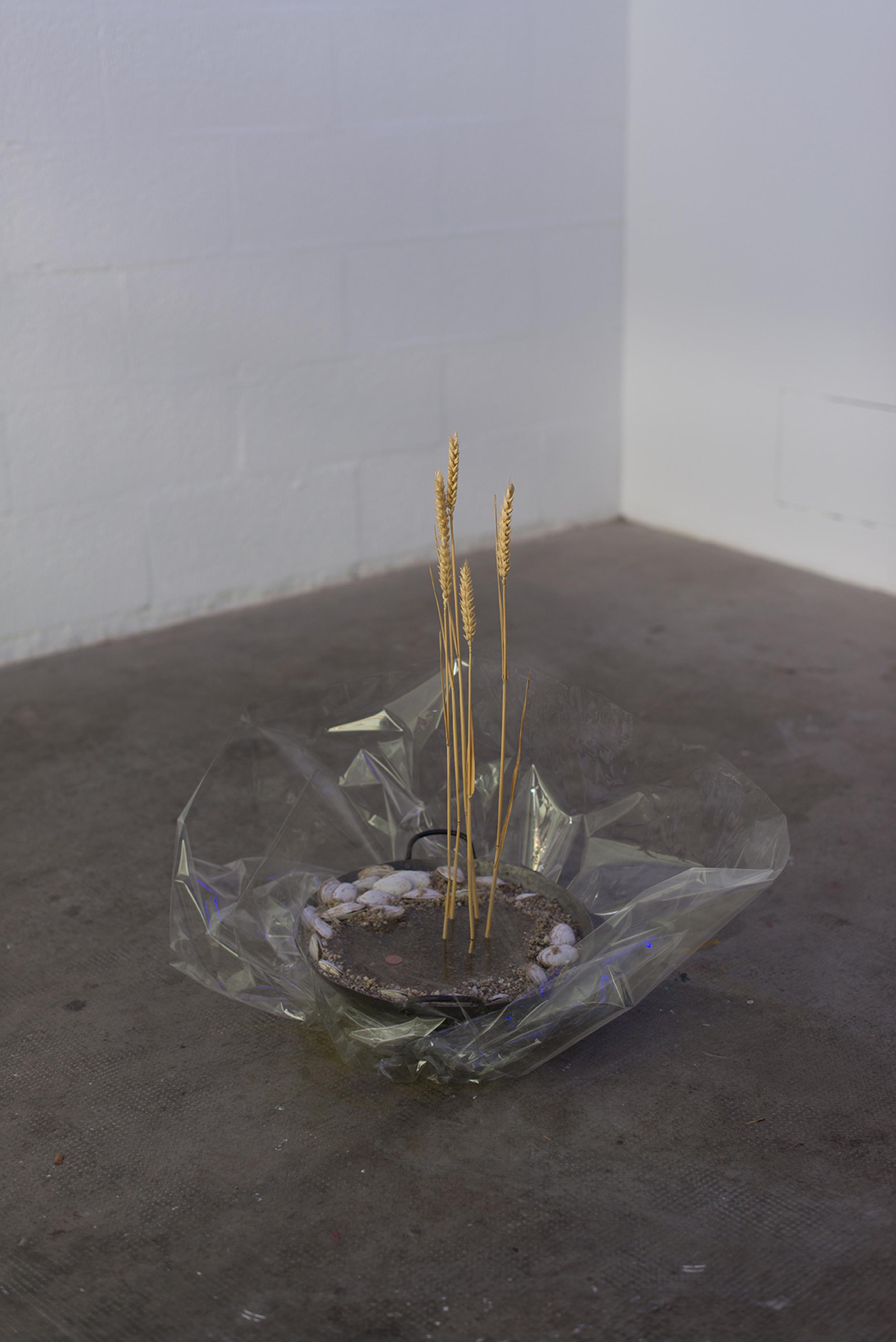 Installation View Alex Turgeon at Tunnel Tunnel, Lausanne / Photo: Mathilda Olmi / Courtesy: the artist