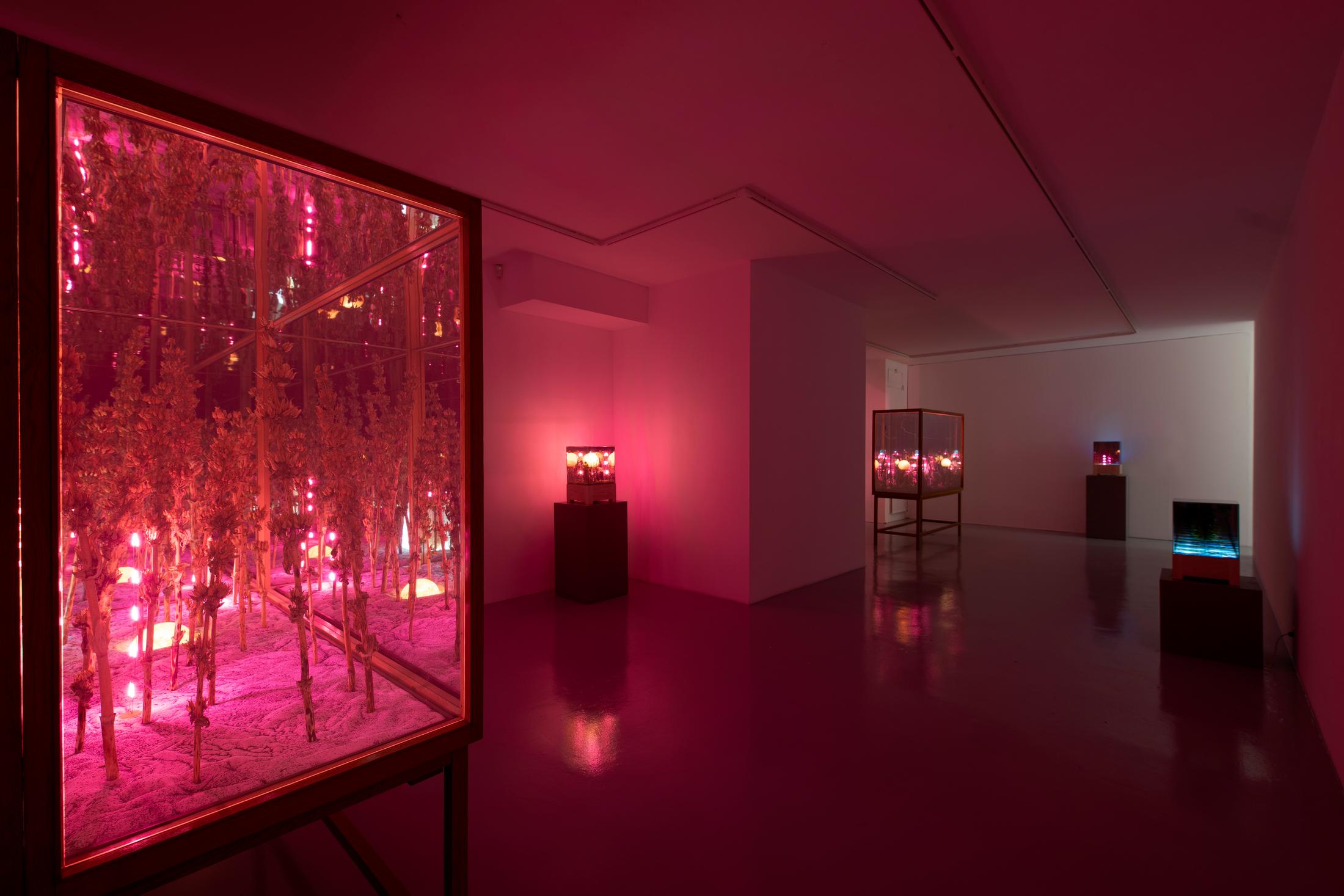 Exhibition View Alexandre Joly Solo Show «Double Rainbow» at Wilde Gallery, Geneva, 2022 / Photo: Greg Clément / Courtesy: the artist and Wilde Gallery