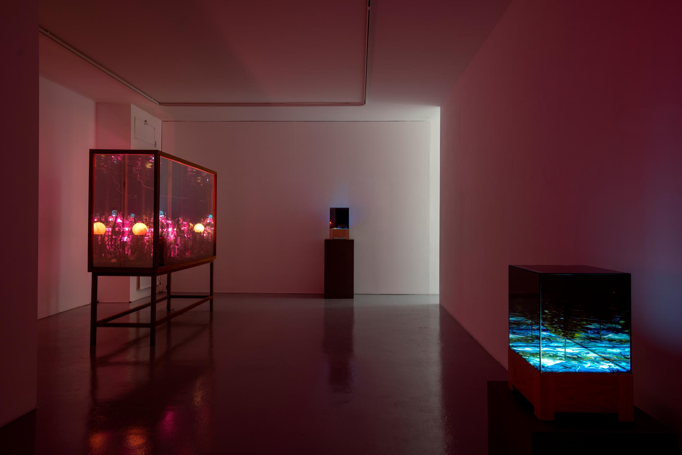 Exhibition View Alexandre Joly Solo Show «Double Rainbow» at Wilde Gallery, Geneva, 2022 / Photo: Greg Clément / Courtesy: the artist and Wilde Gallery