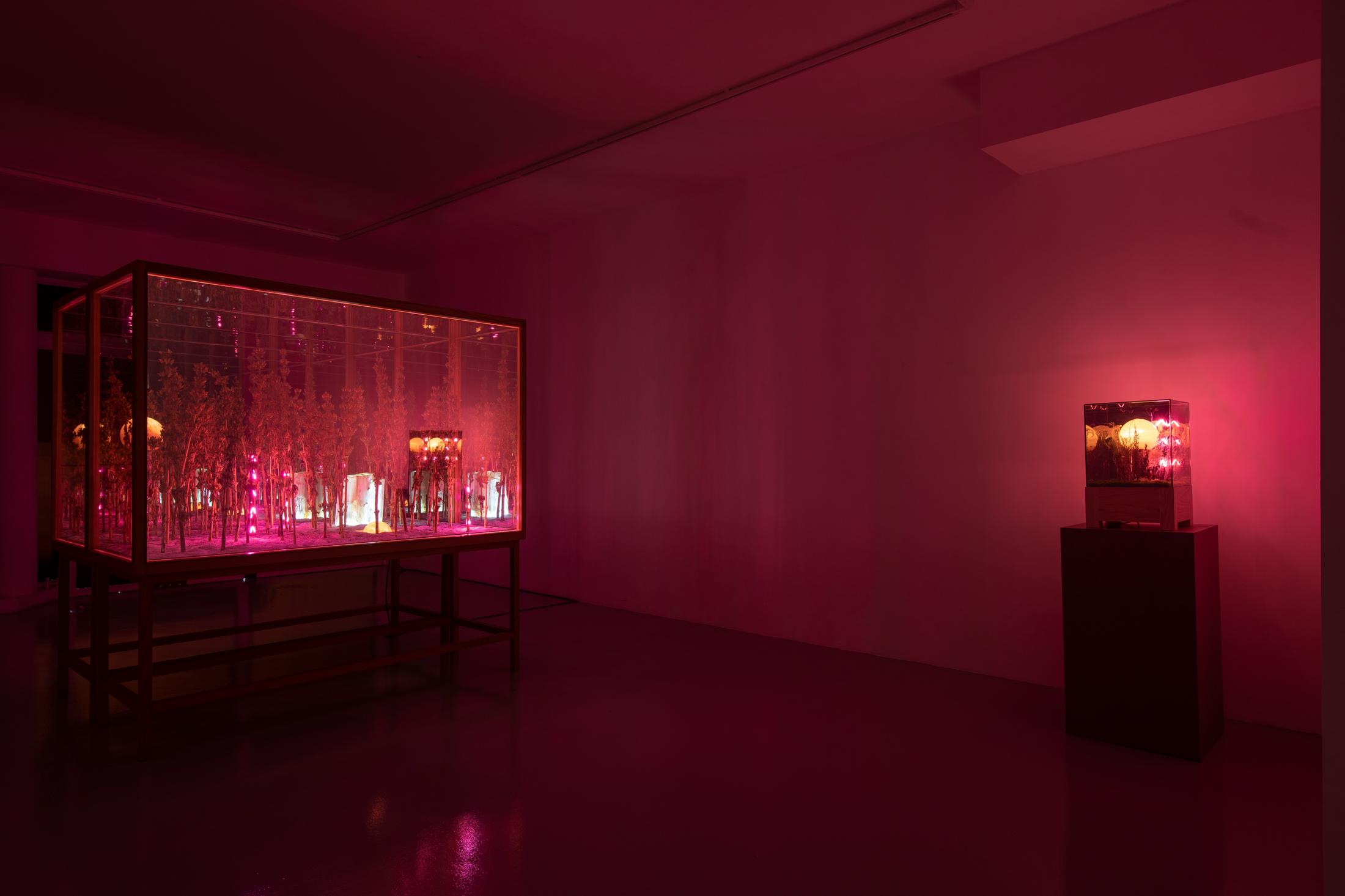 Exhibition View Alexandre Joly Solo Show «Double Rainbow» at Wilde Gallery, Geneva, 2022 / Photo: Greg Clément / Courtesy: the artist and Wilde Gallery