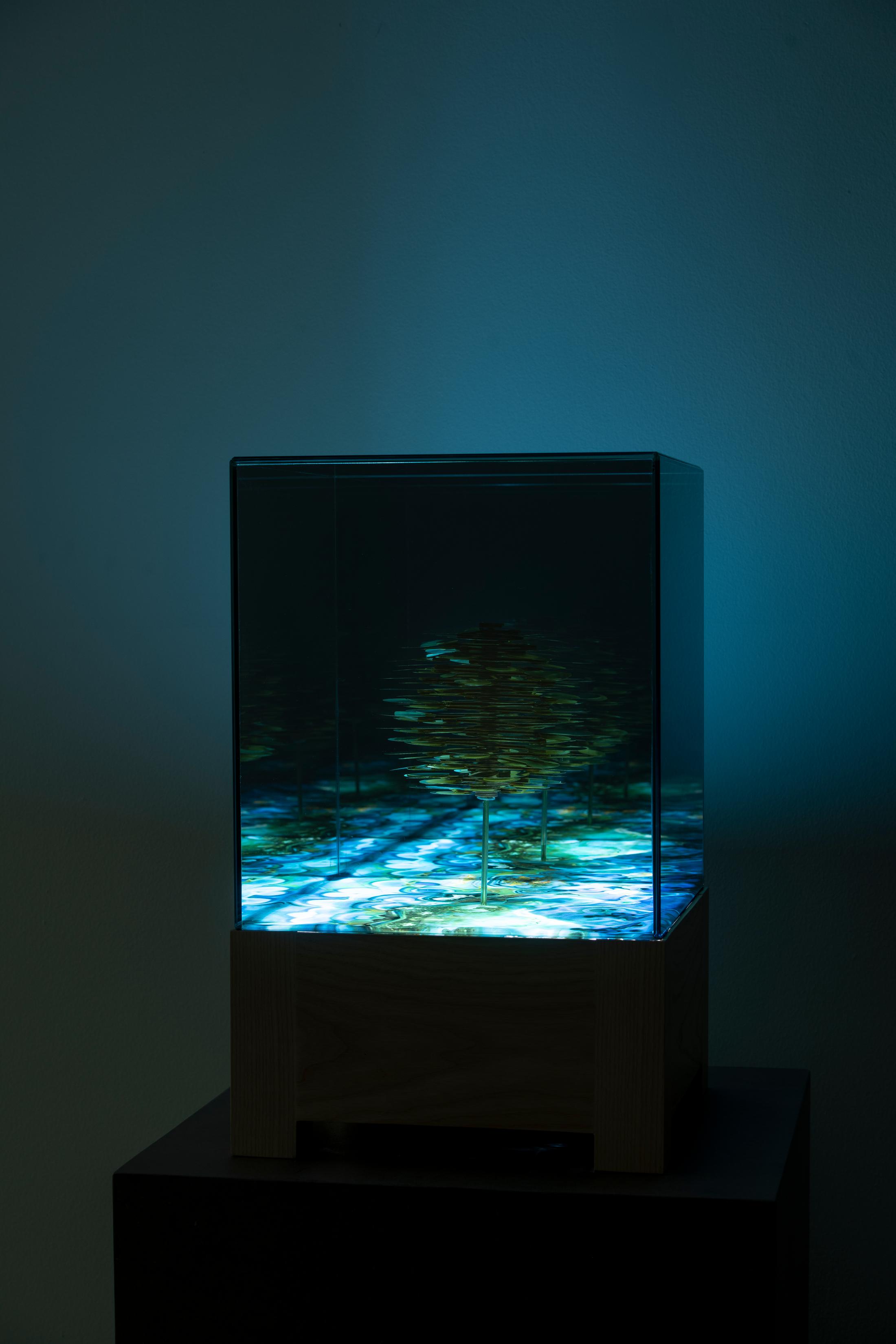 Exhibition View Alexandre Joly Solo Show «Double Rainbow» at Wilde Gallery, Geneva, 2022 / Photo: Greg Clément / Courtesy: the artist and Wilde Gallery