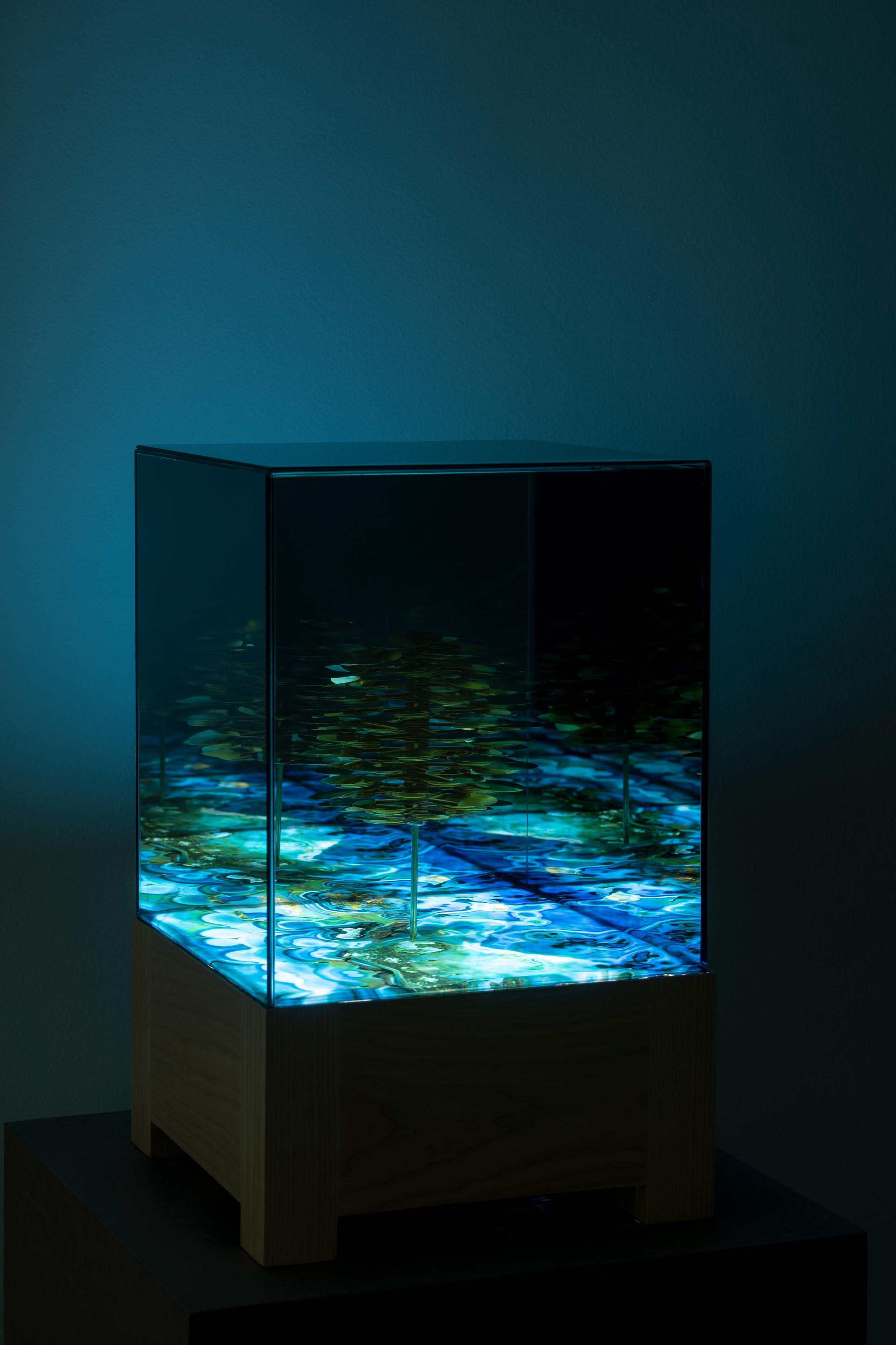 Exhibition View Alexandre Joly Solo Show «Double Rainbow» at Wilde Gallery, Geneva, 2022 / Photo: Greg Clément / Courtesy: the artist and Wilde Gallery