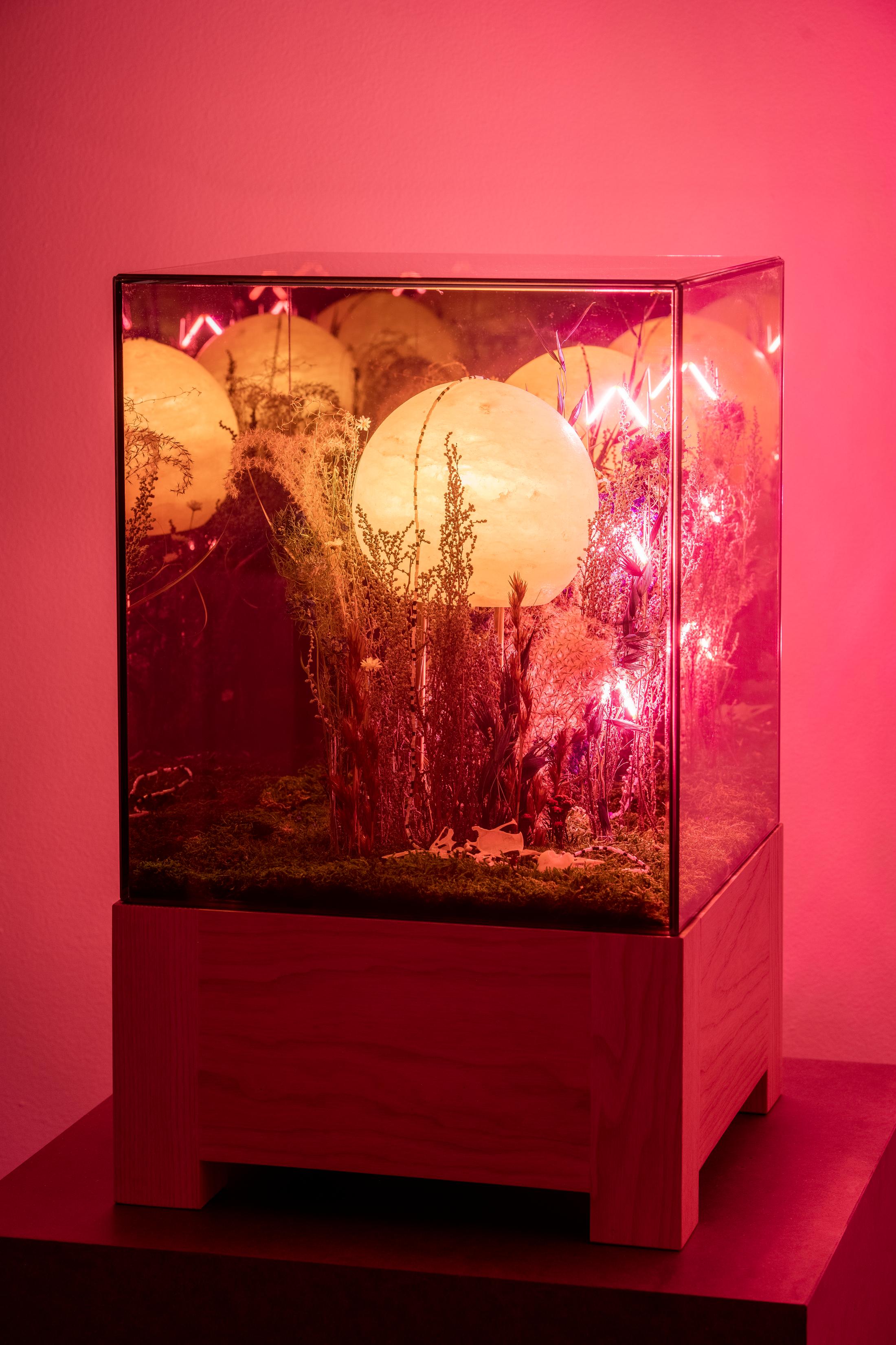 Exhibition View Alexandre Joly Solo Show «Double Rainbow» at Wilde Gallery, Geneva, 2022 / Photo: Greg Clément / Courtesy: the artist and Wilde Gallery