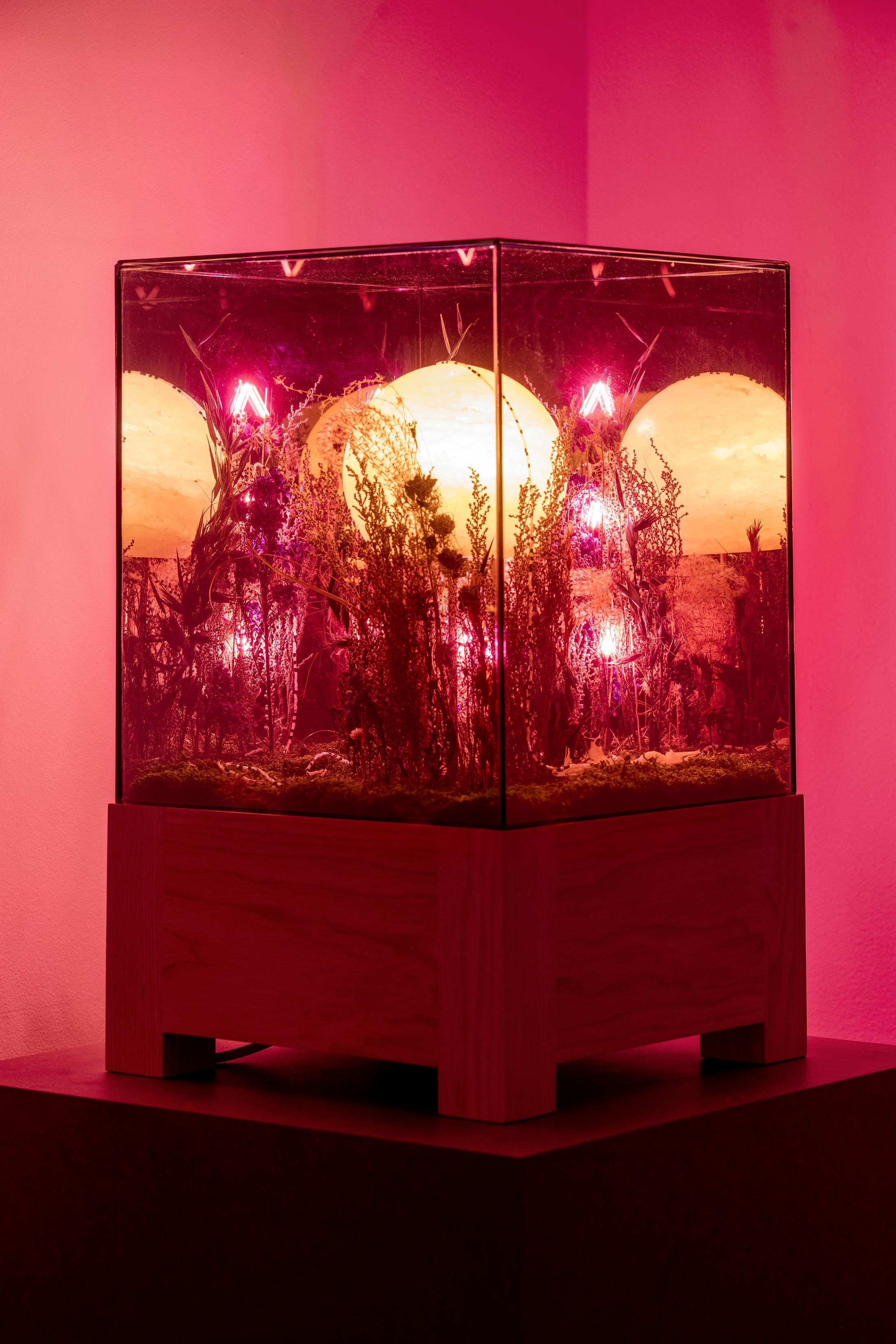 Exhibition View Alexandre Joly Solo Show «Double Rainbow» at Wilde Gallery, Geneva, 2022 / Photo: Greg Clément / Courtesy: the artist and Wilde Gallery