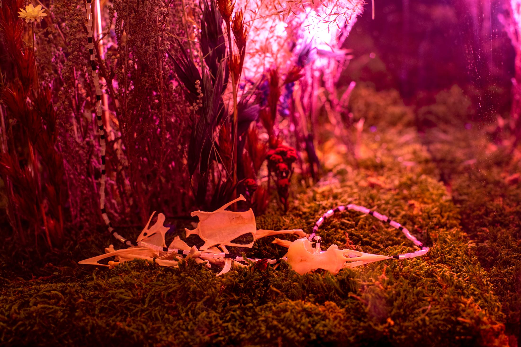 Exhibition View Alexandre Joly Solo Show «Double Rainbow» at Wilde Gallery, Geneva, 2022 / Photo: Greg Clément / Courtesy: the artist and Wilde Gallery