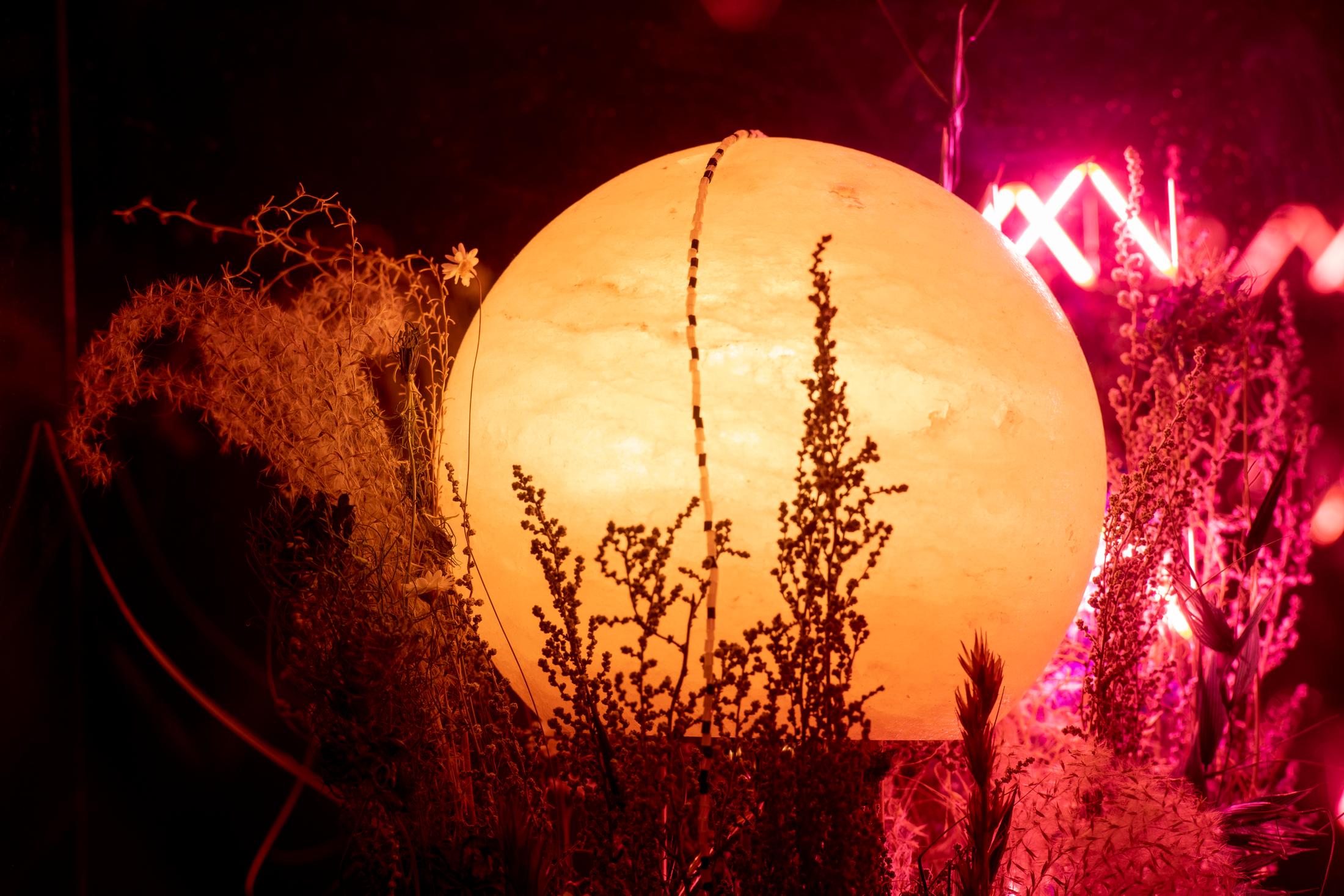 Exhibition View Alexandre Joly Solo Show «Double Rainbow» at Wilde Gallery, Geneva, 2022 / Photo: Greg Clément / Courtesy: the artist and Wilde Gallery