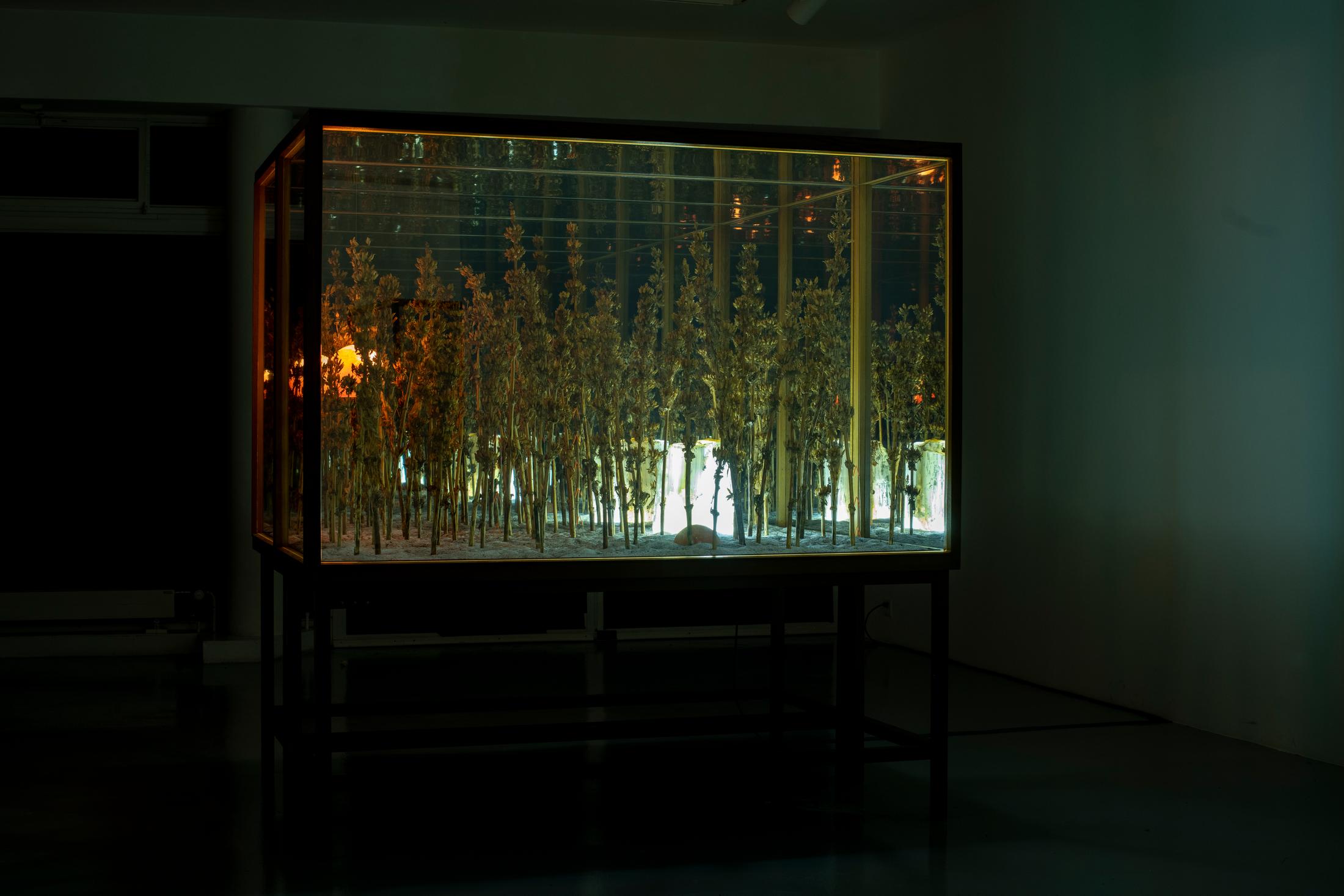 Exhibition View Alexandre Joly Solo Show «Double Rainbow» at Wilde Gallery, Geneva, 2022 / Photo: Greg Clément / Courtesy: the artist and Wilde Gallery