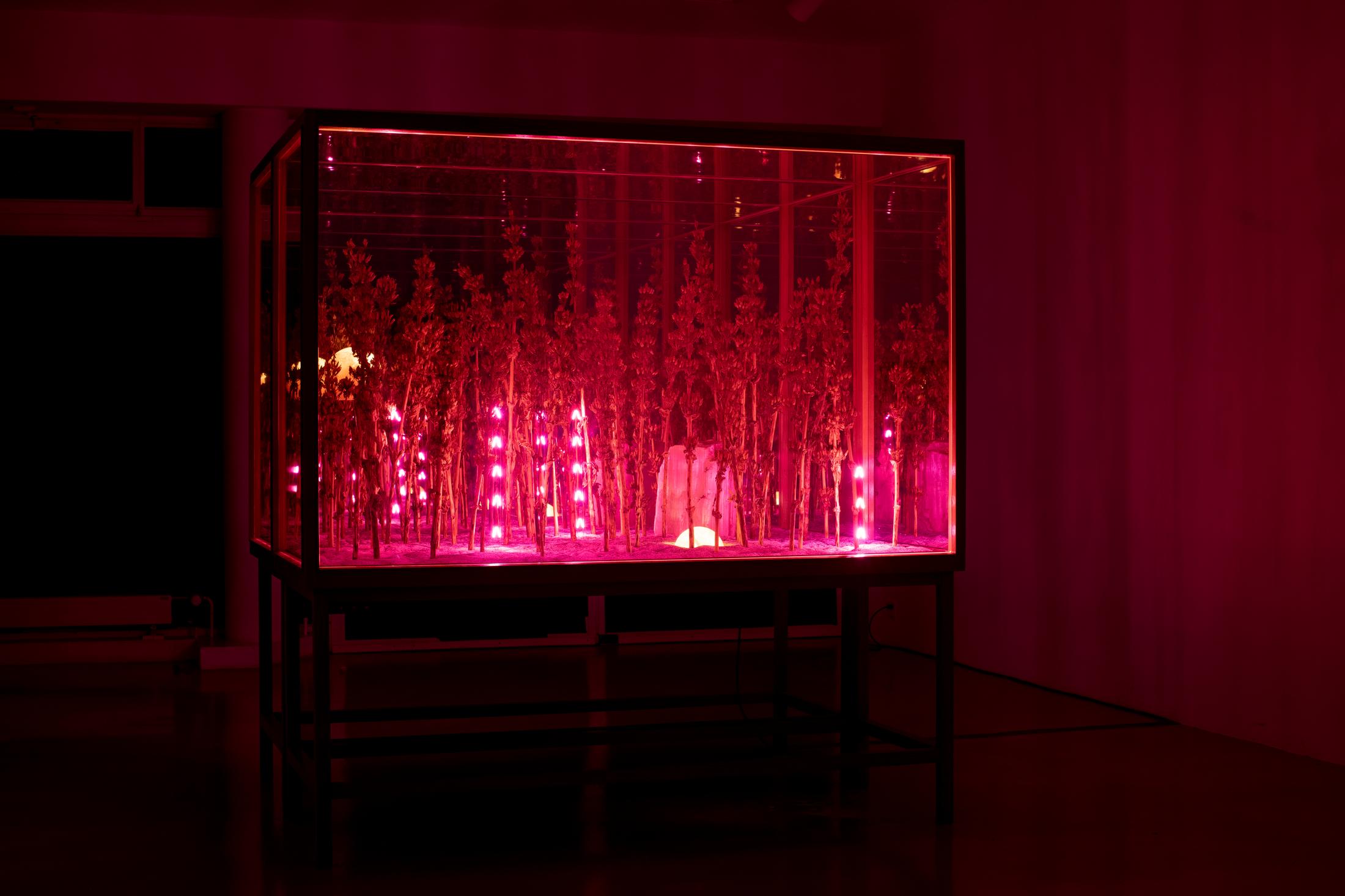 Exhibition View Alexandre Joly Solo Show «Double Rainbow» at Wilde Gallery, Geneva, 2022 / Photo: Greg Clément / Courtesy: the artist and Wilde Gallery