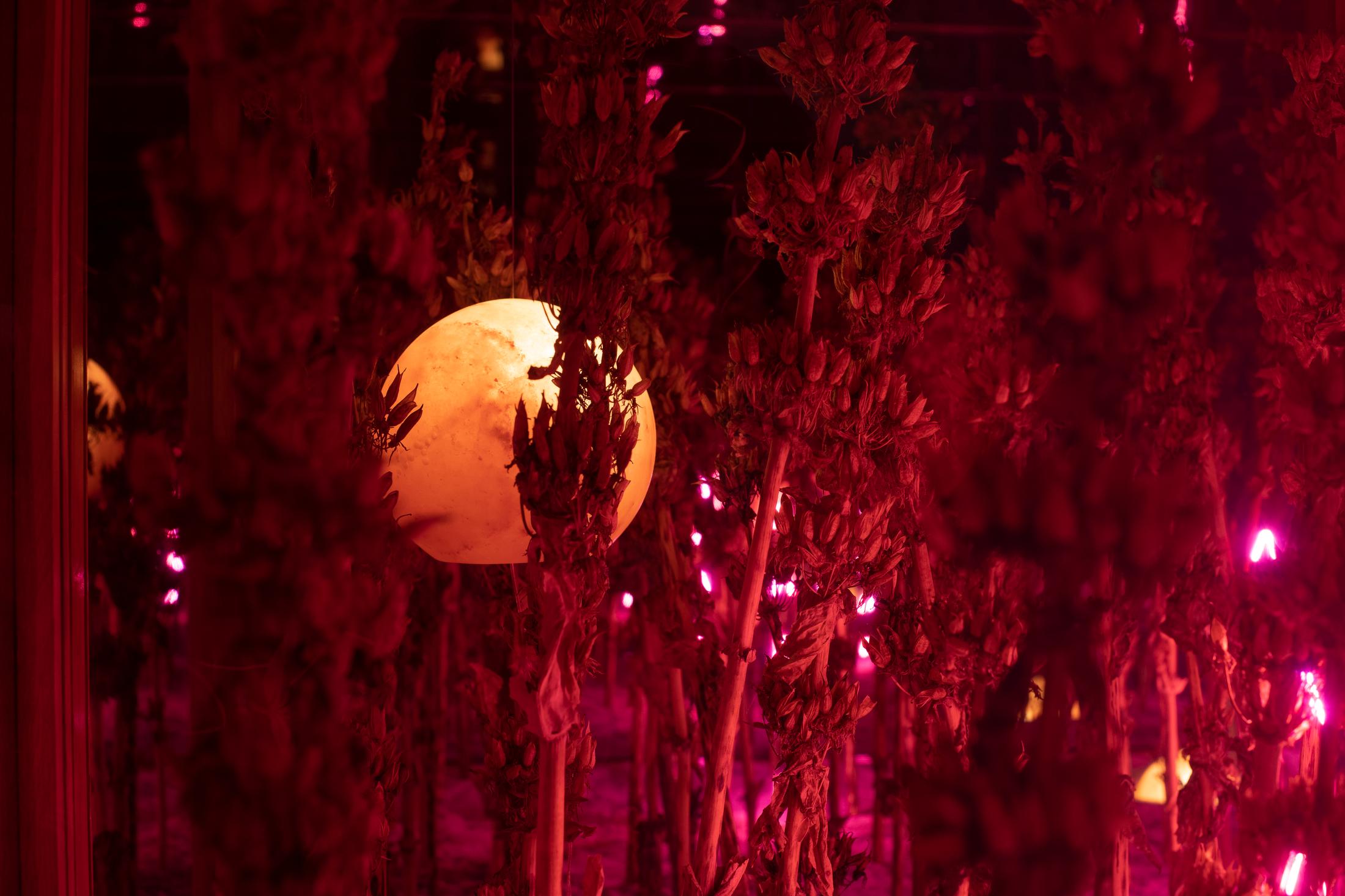 Exhibition View Alexandre Joly Solo Show «Double Rainbow» at Wilde Gallery, Geneva, 2022 / Photo: Greg Clément / Courtesy: the artist and Wilde Gallery