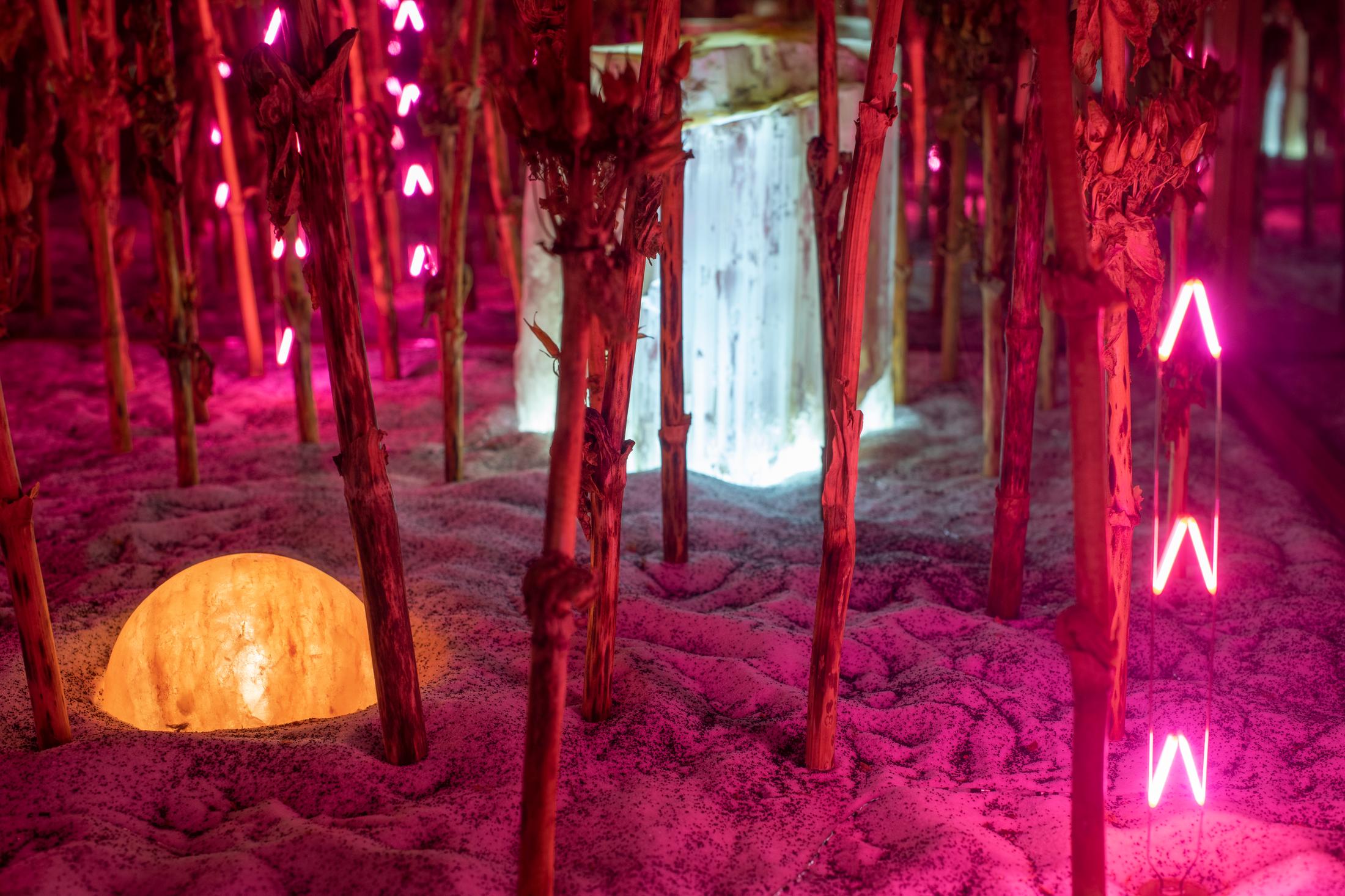 Exhibition View Alexandre Joly Solo Show «Double Rainbow» at Wilde Gallery, Geneva, 2022 / Photo: Greg Clément / Courtesy: the artist and Wilde Gallery