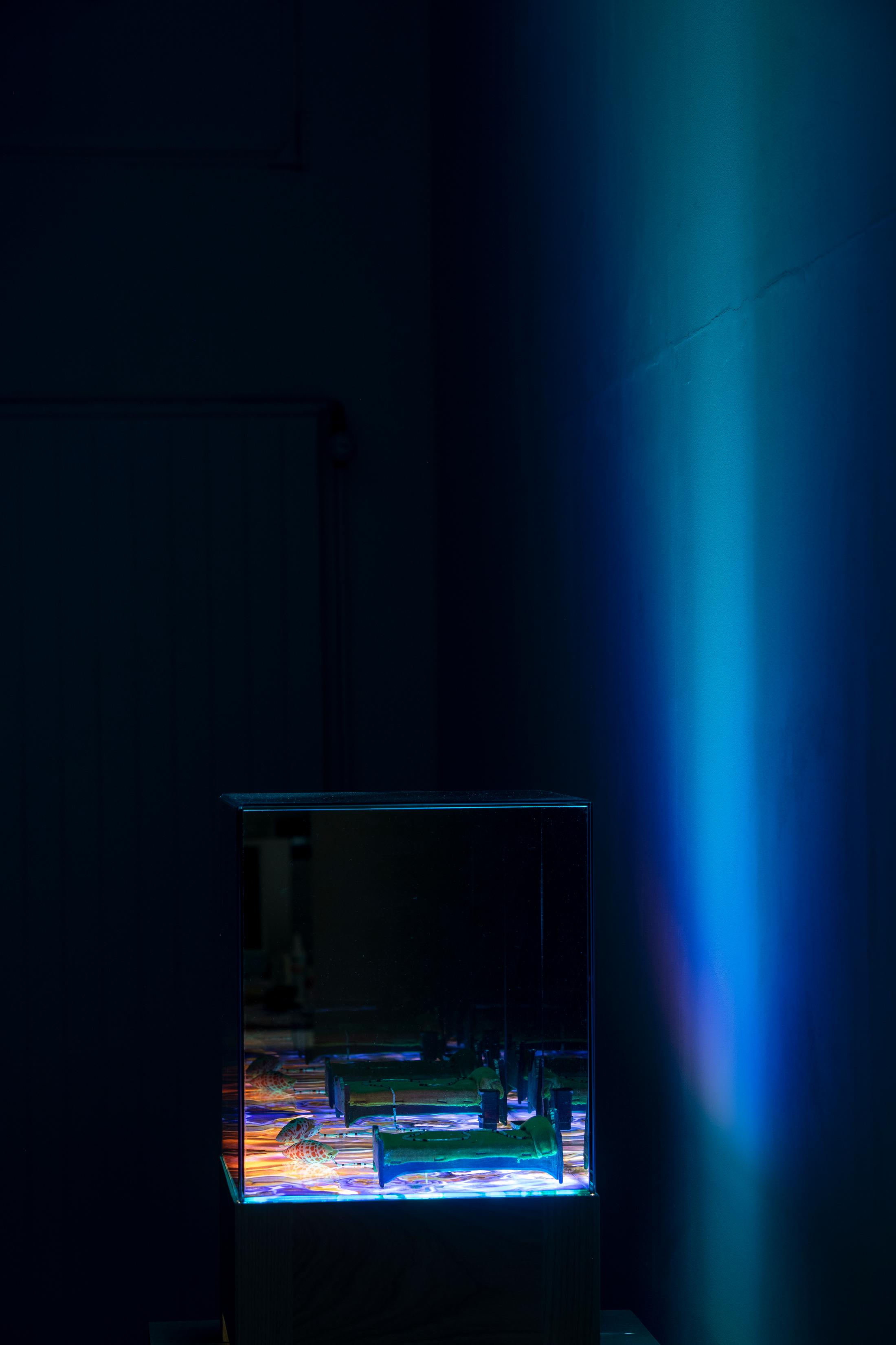 Exhibition View Alexandre Joly Solo Show «Double Rainbow» at Wilde Gallery, Geneva, 2022 / Photo: Greg Clément / Courtesy: the artist and Wilde Gallery