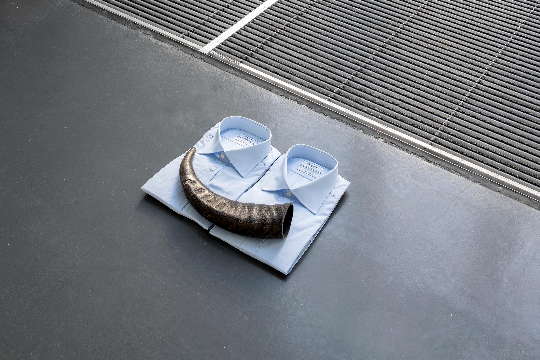 Exhibition View Alfredo Aceto Soloshow «Sequoia 07» at Istituto Svizzero, Milano / Photo: Giulio Boem / Courtesy: the artist and Istituto Svizzero, Milano